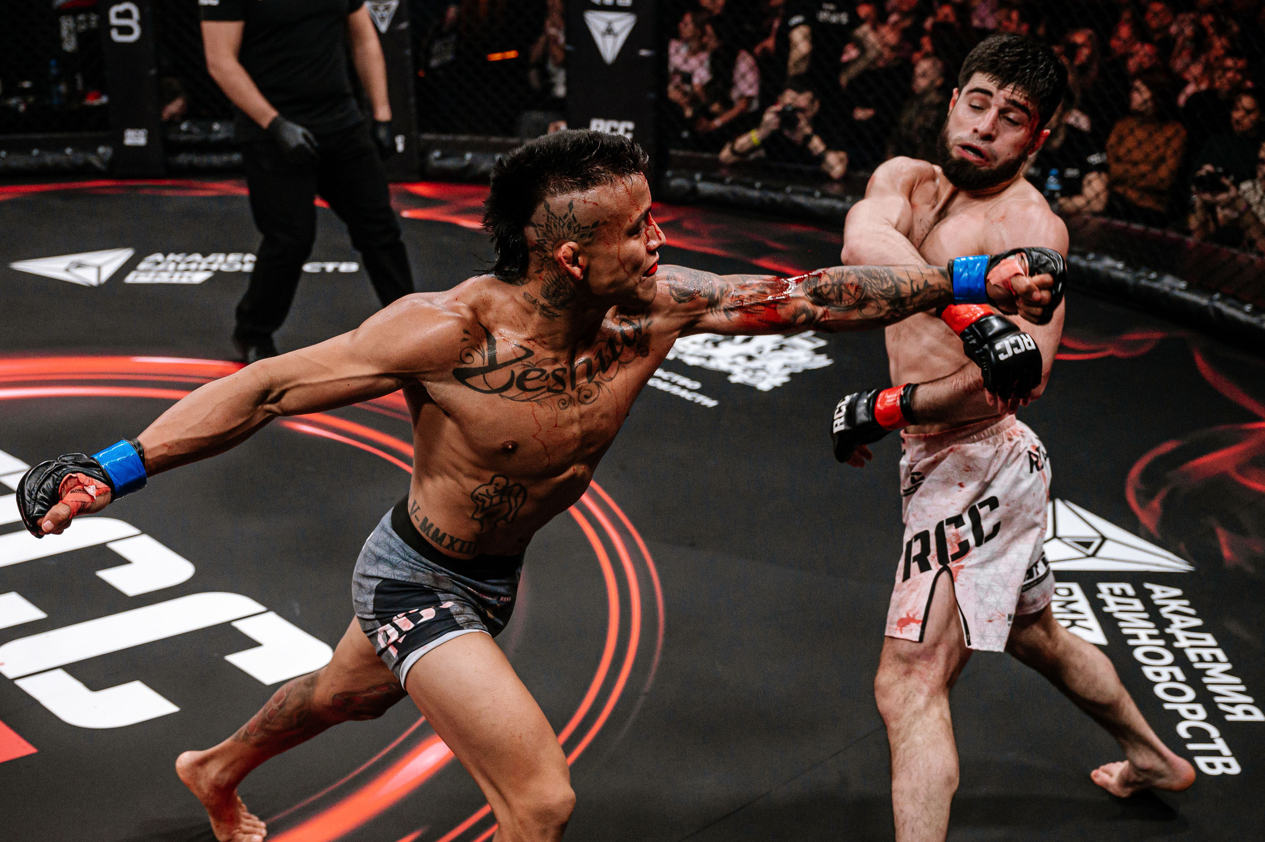 RCC MMA. Максим Комаров — Профессиональный фотограф