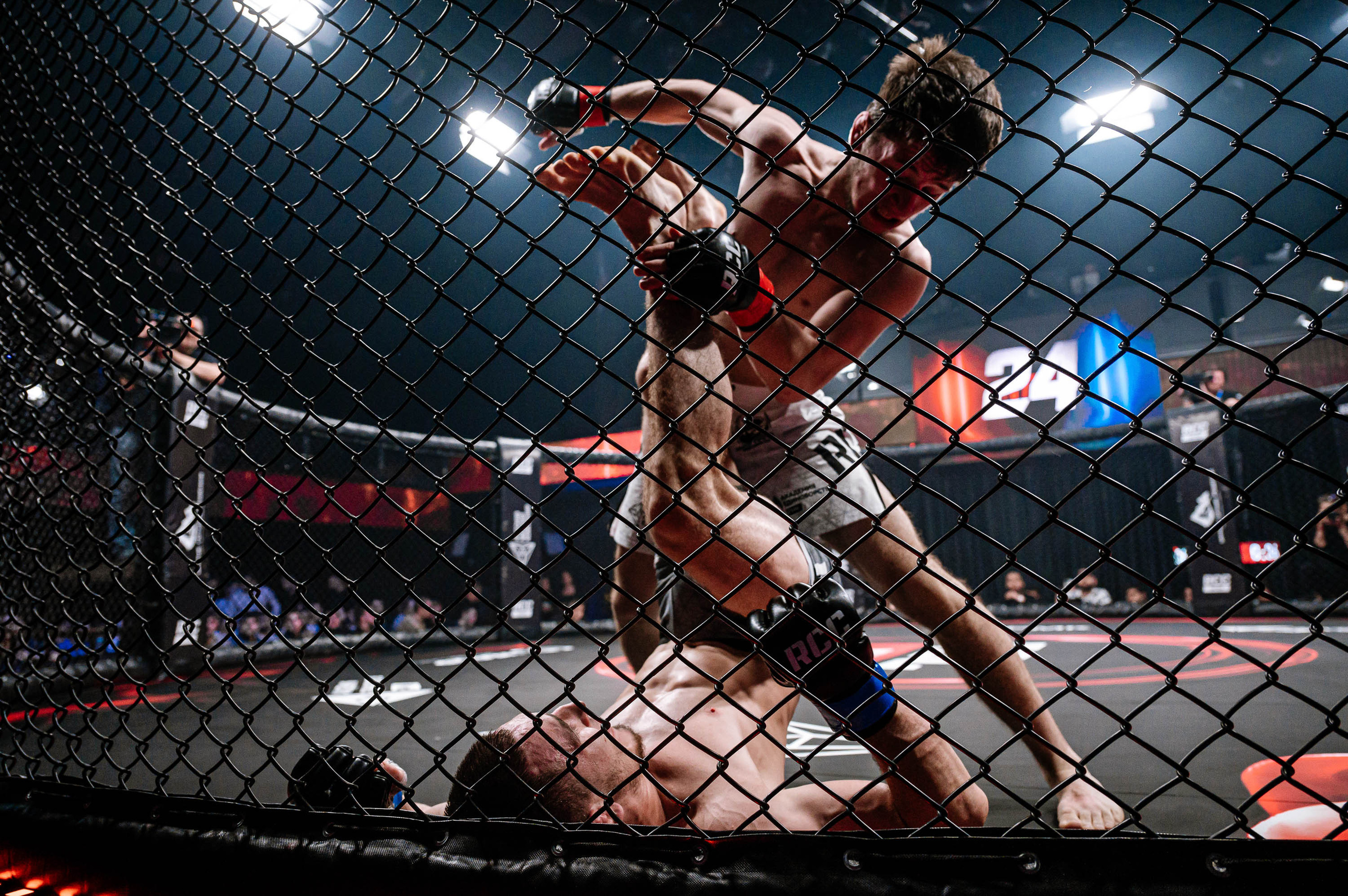 RCC MMA. Максим Комаров — Профессиональный фотограф