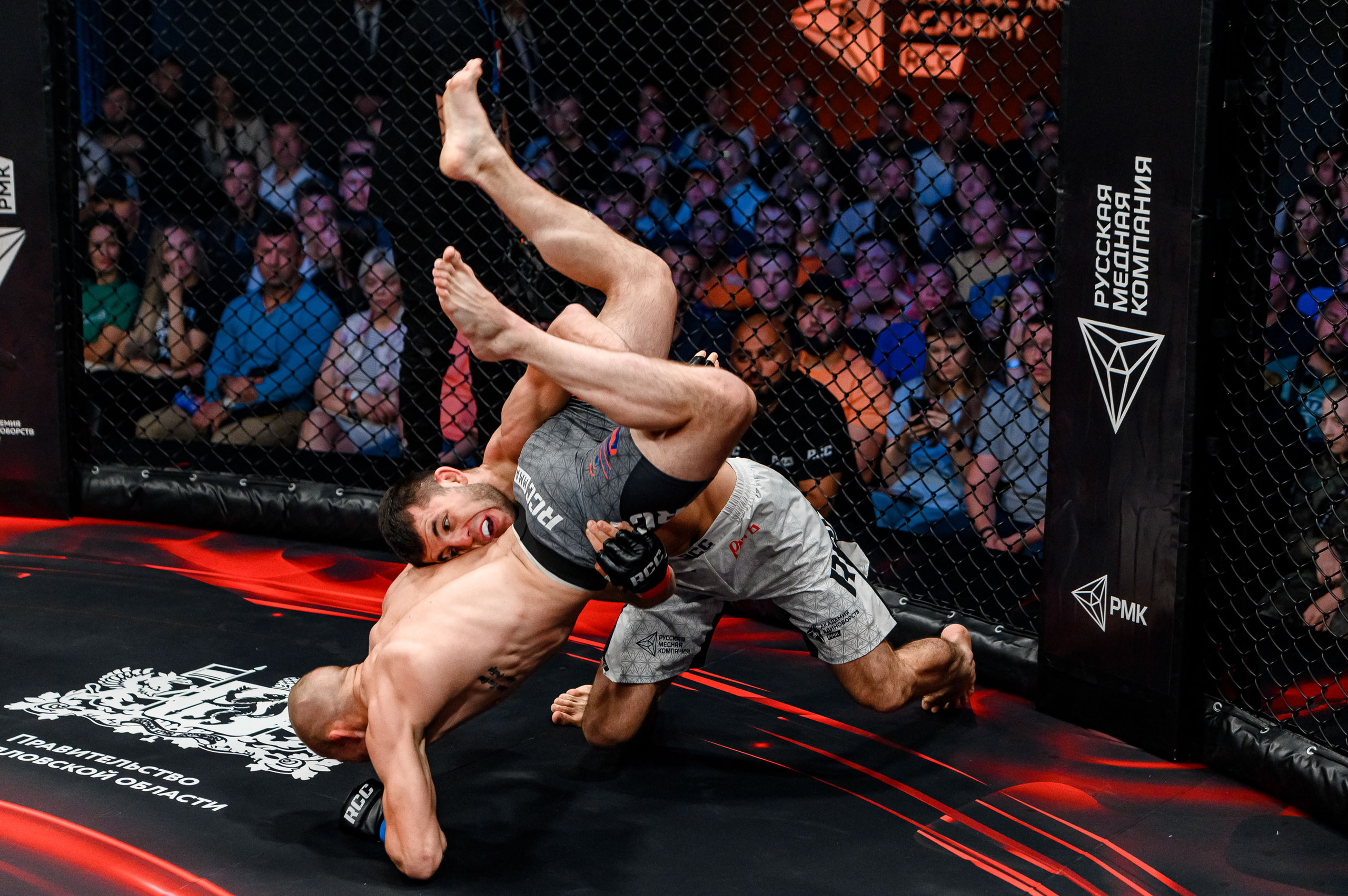 RCC MMA. Максим Комаров — Профессиональный фотограф