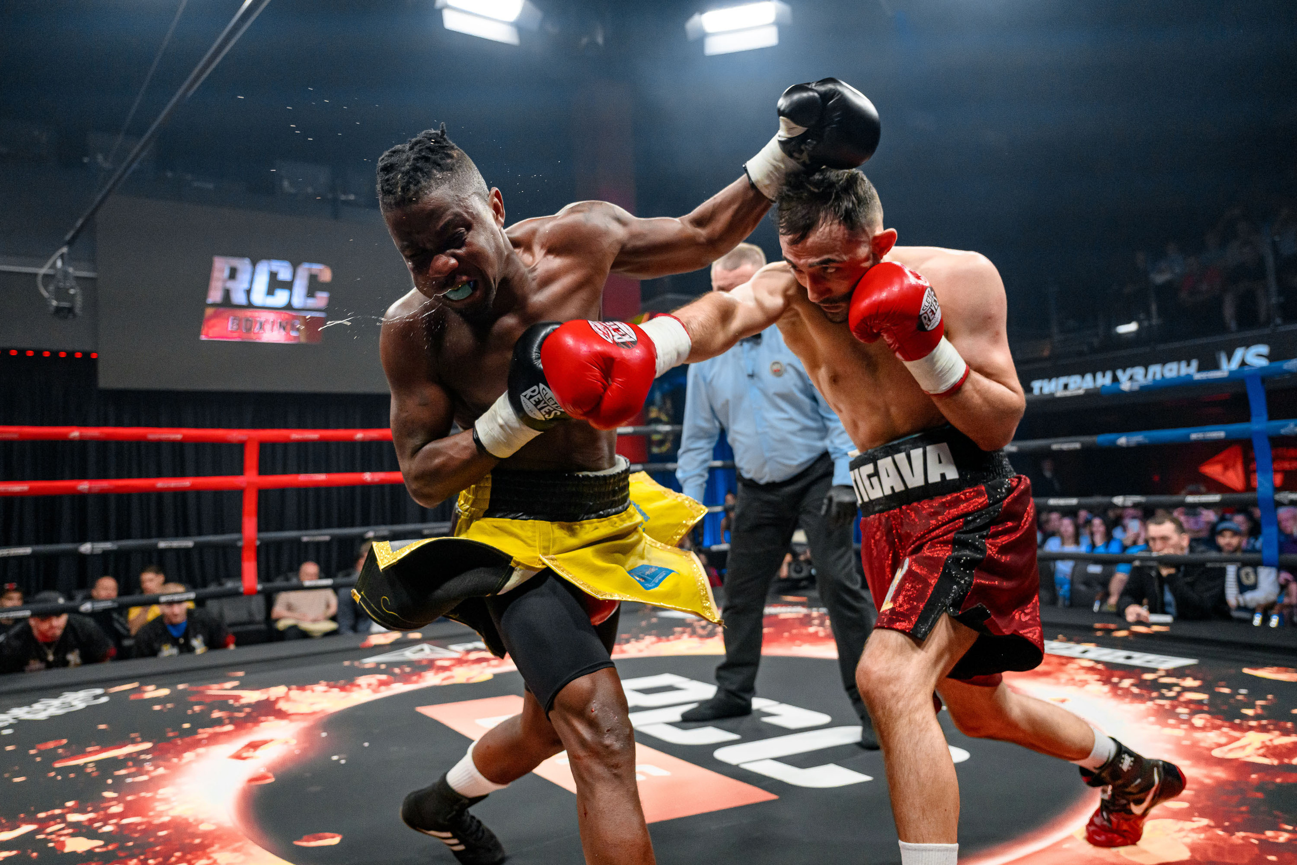 RCC Boxing. Максим Комаров — Профессиональный фотограф