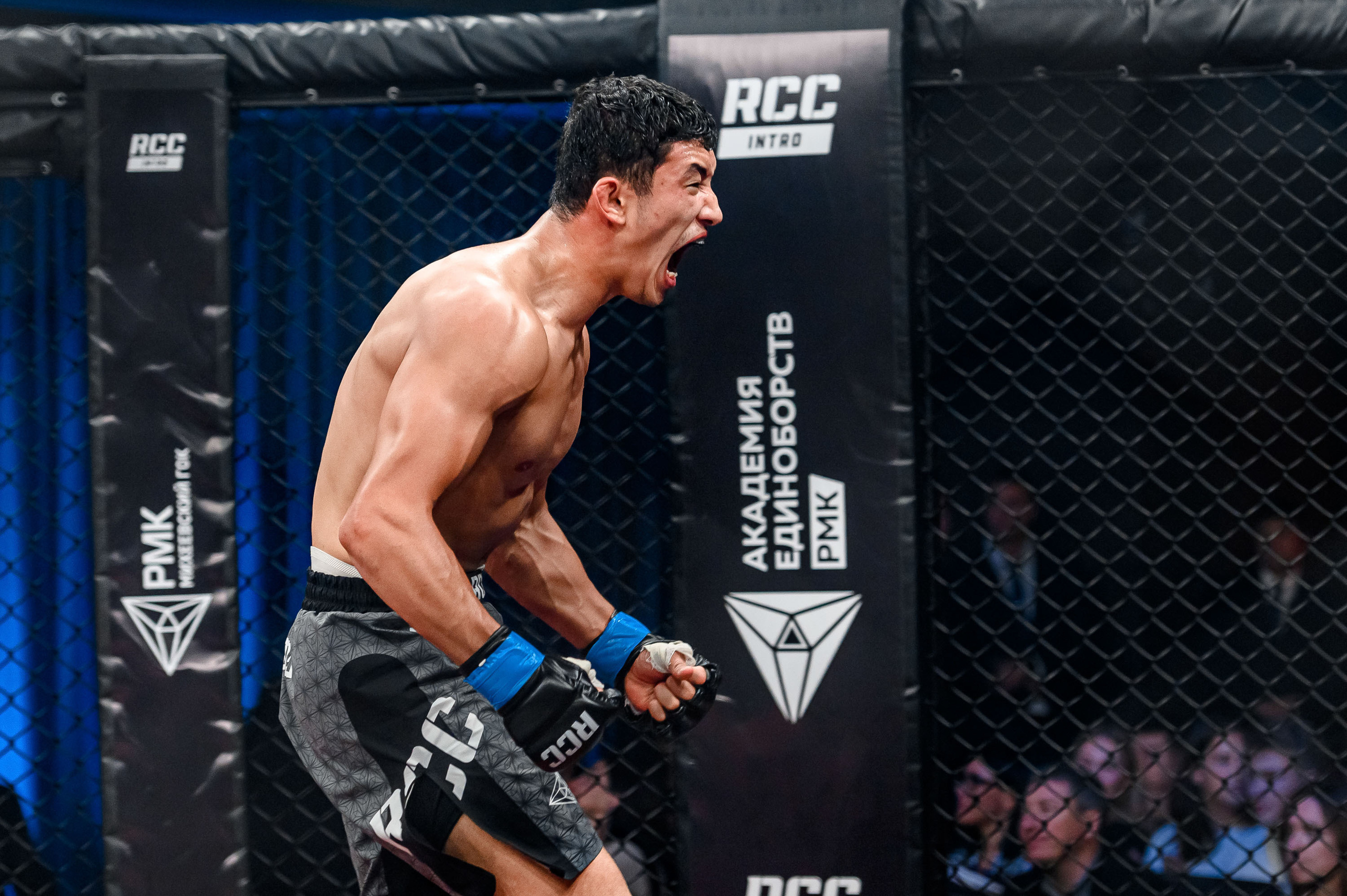 RCC MMA. Максим Комаров — Профессиональный фотограф