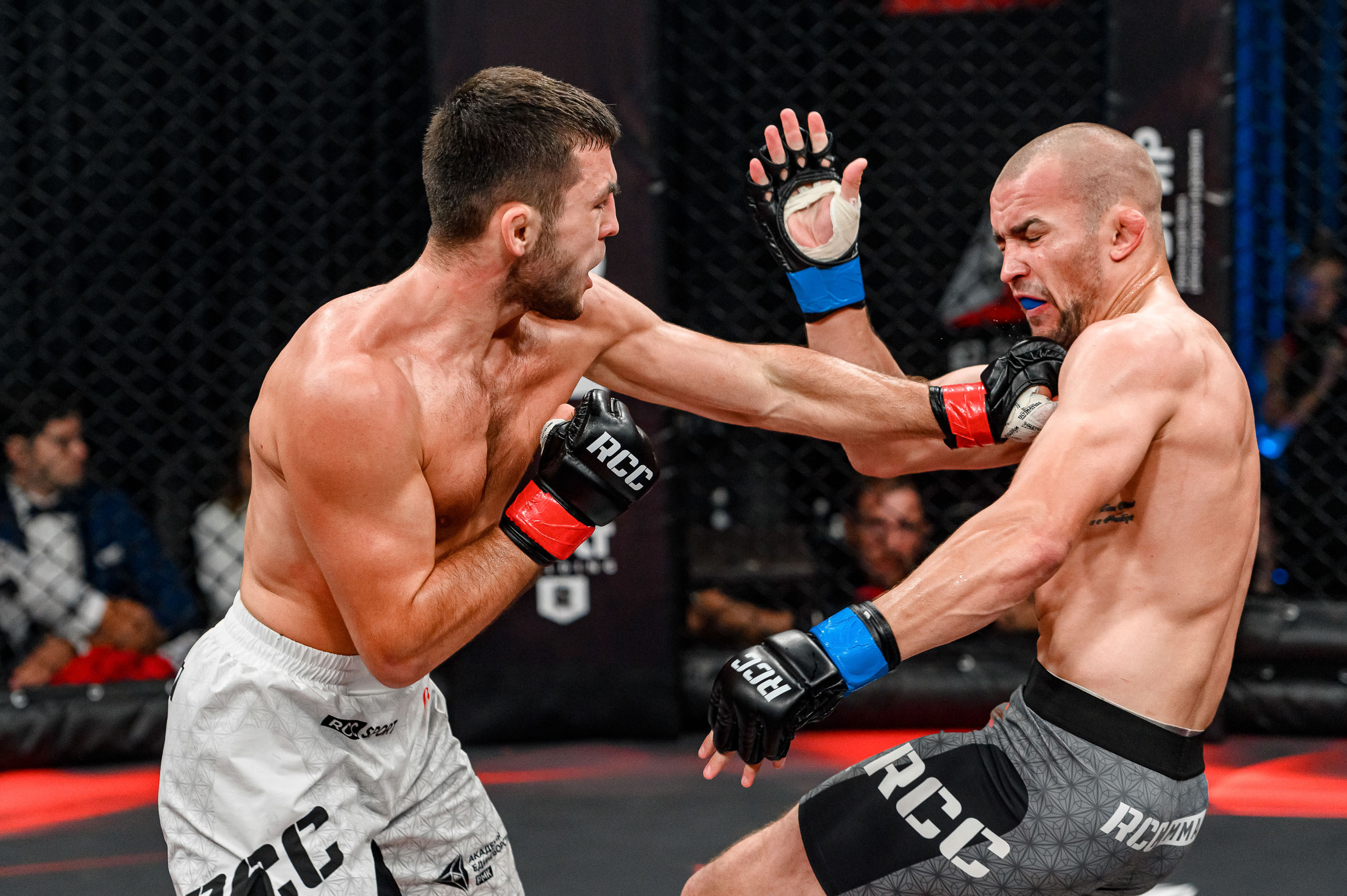 RCC MMA. Максим Комаров — Профессиональный фотограф