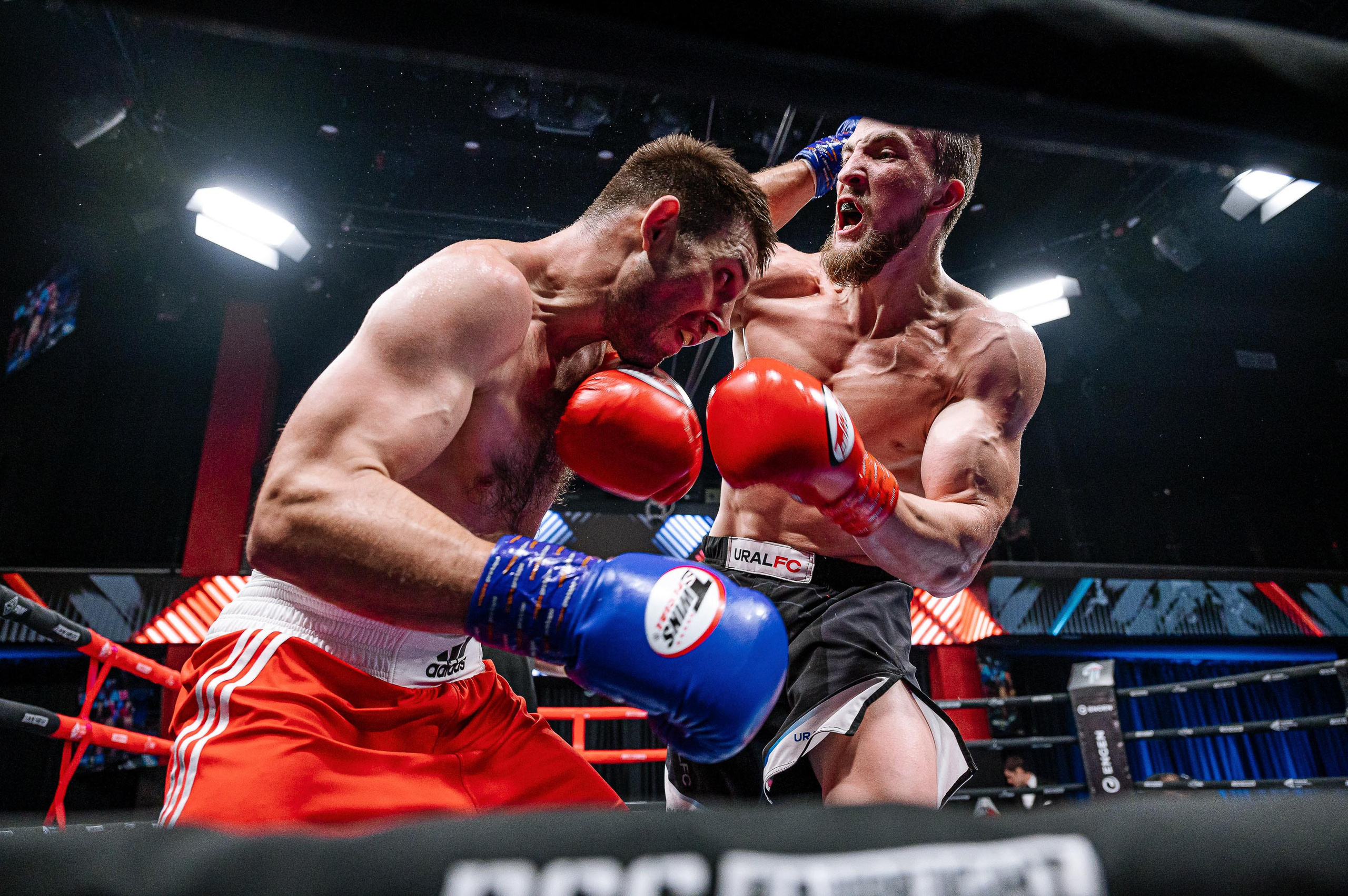 RCC Boxing. Максим Комаров — Профессиональный фотограф