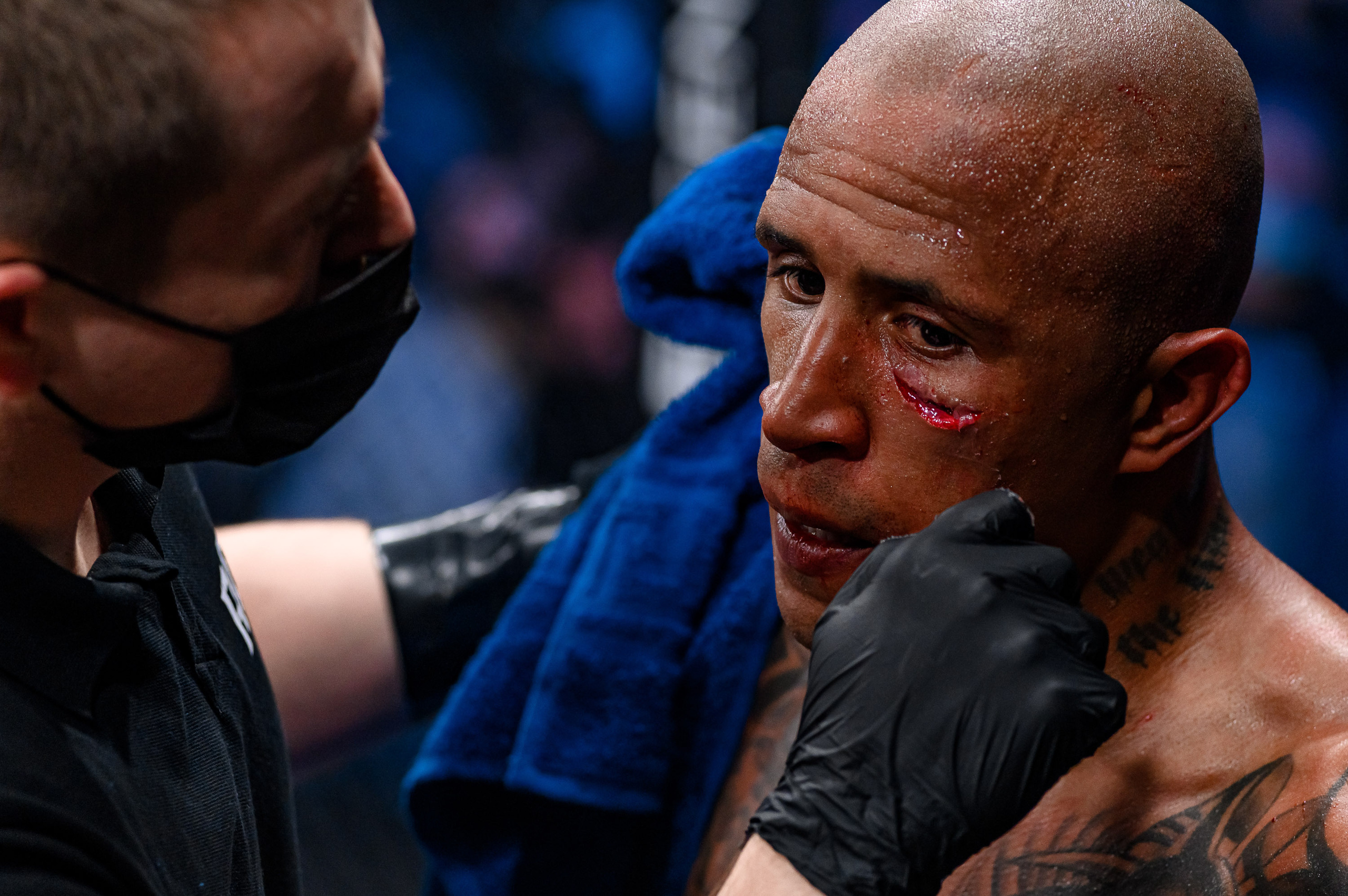 RCC MMA. Максим Комаров — Профессиональный фотограф