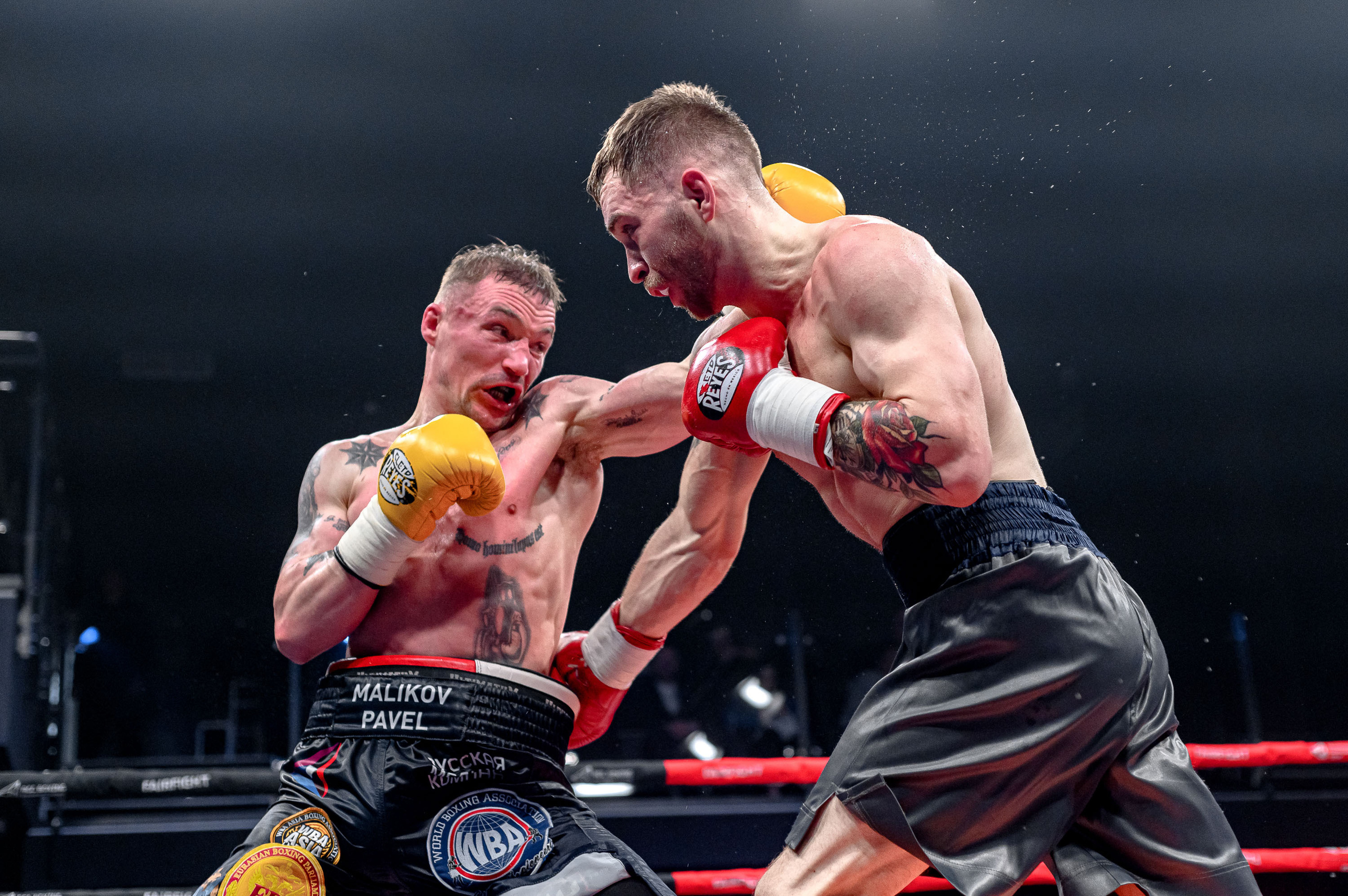 RCC Boxing. Максим Комаров — Профессиональный фотограф