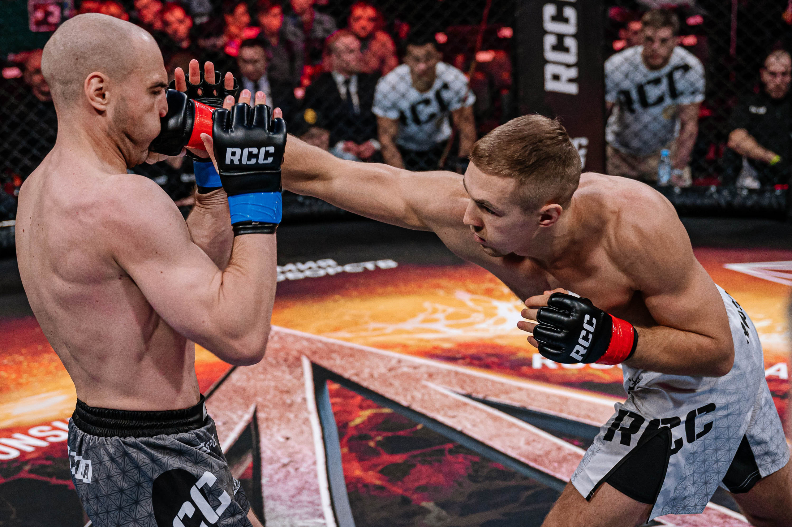 RCC MMA. Максим Комаров — Профессиональный фотограф