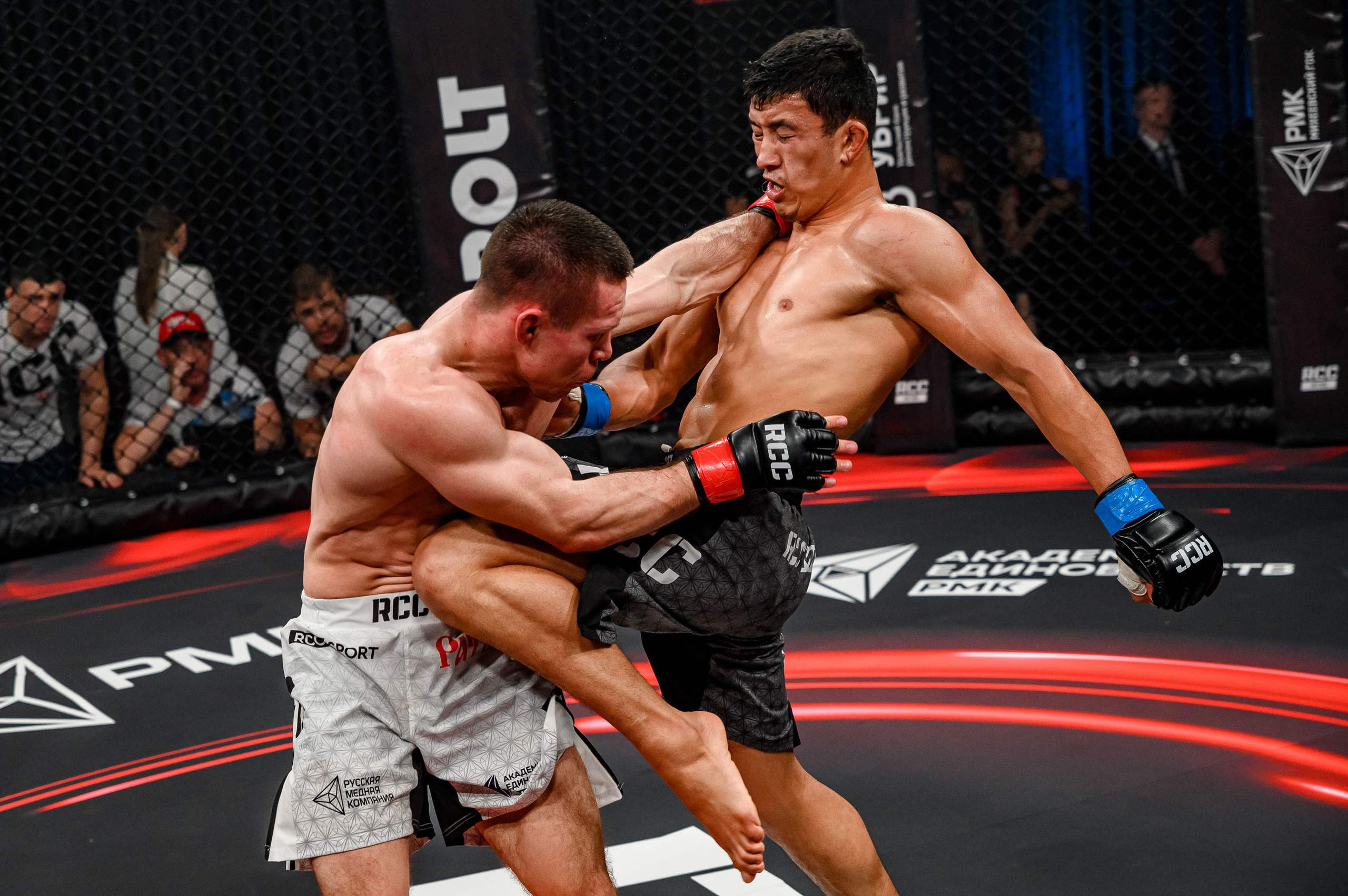 RCC MMA. Максим Комаров — Профессиональный фотограф