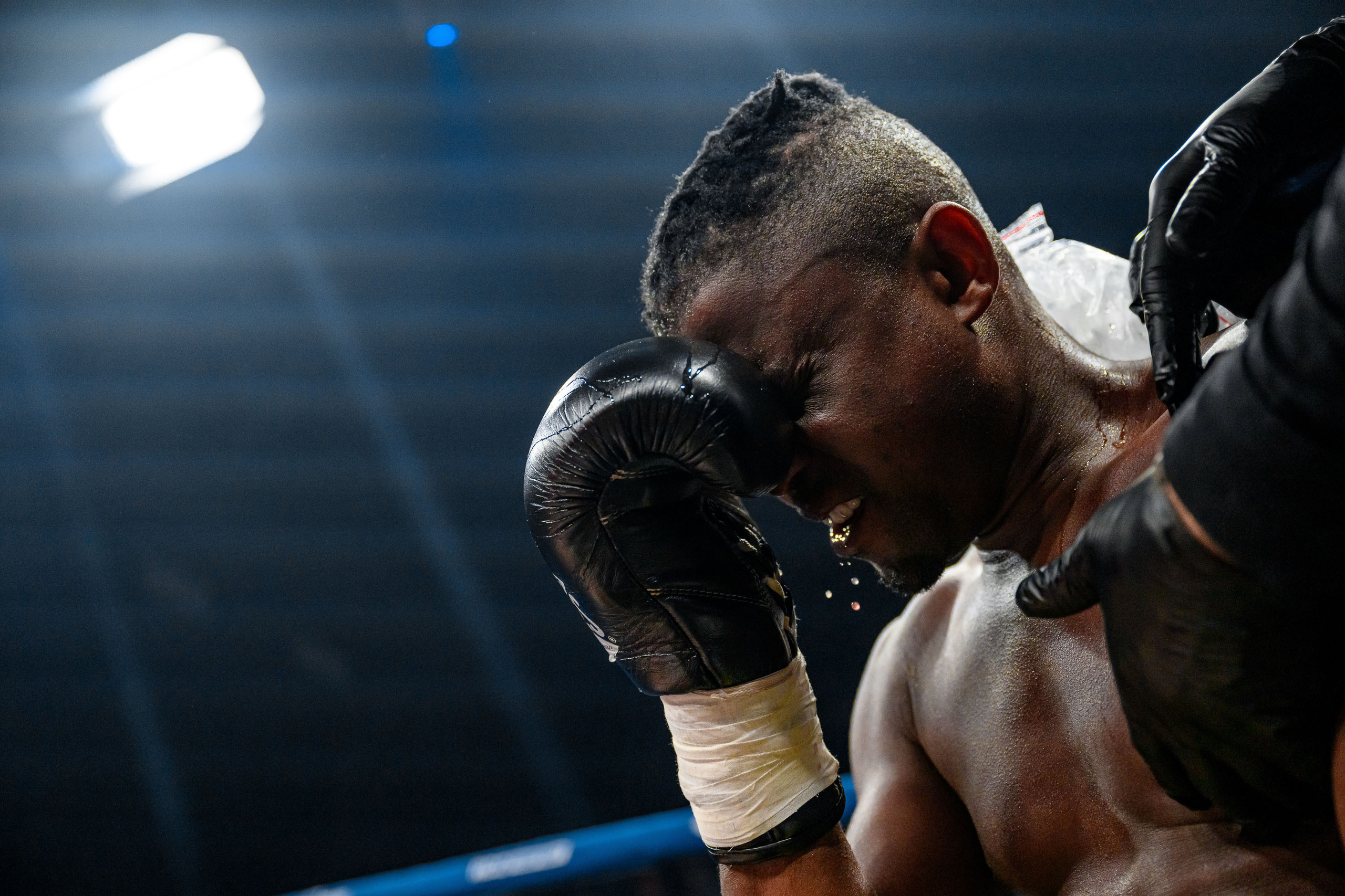 RCC Boxing. Максим Комаров — Профессиональный фотограф
