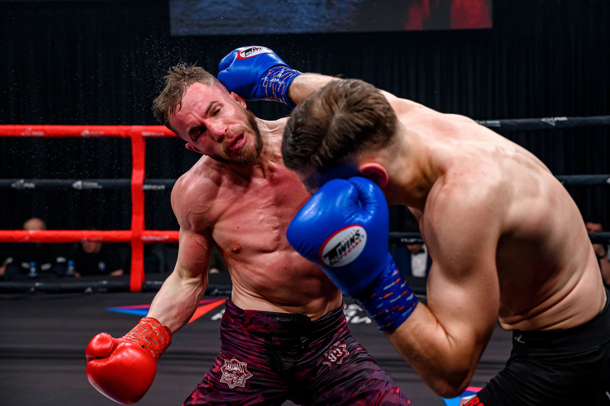 RCC Boxing. Максим Комаров — Профессиональный фотограф