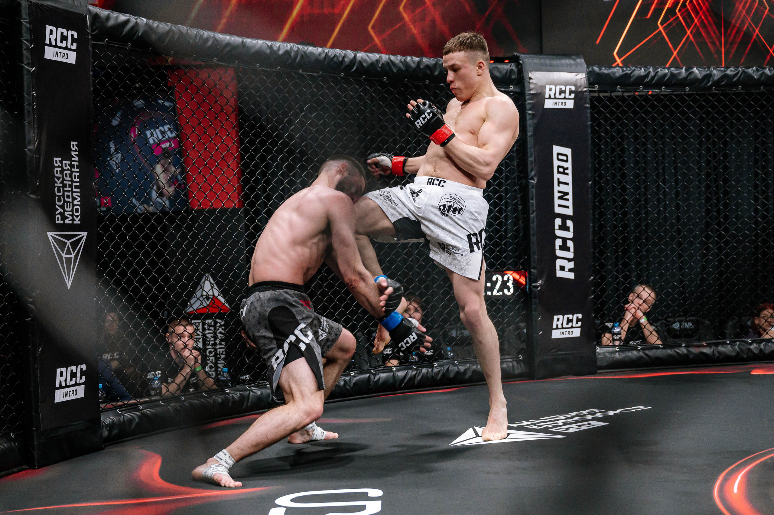 RCC MMA. Максим Комаров — Профессиональный фотограф