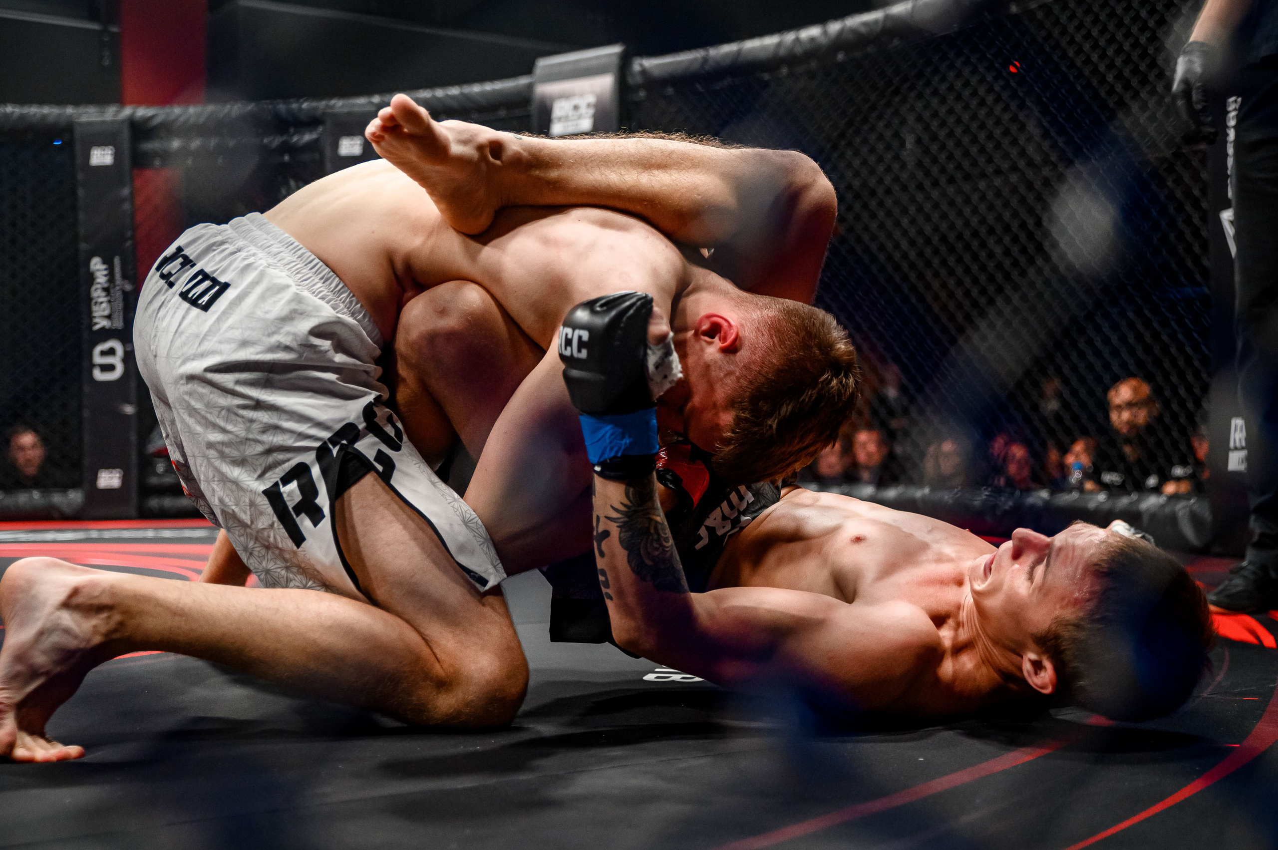 RCC MMA. Максим Комаров — Профессиональный фотограф
