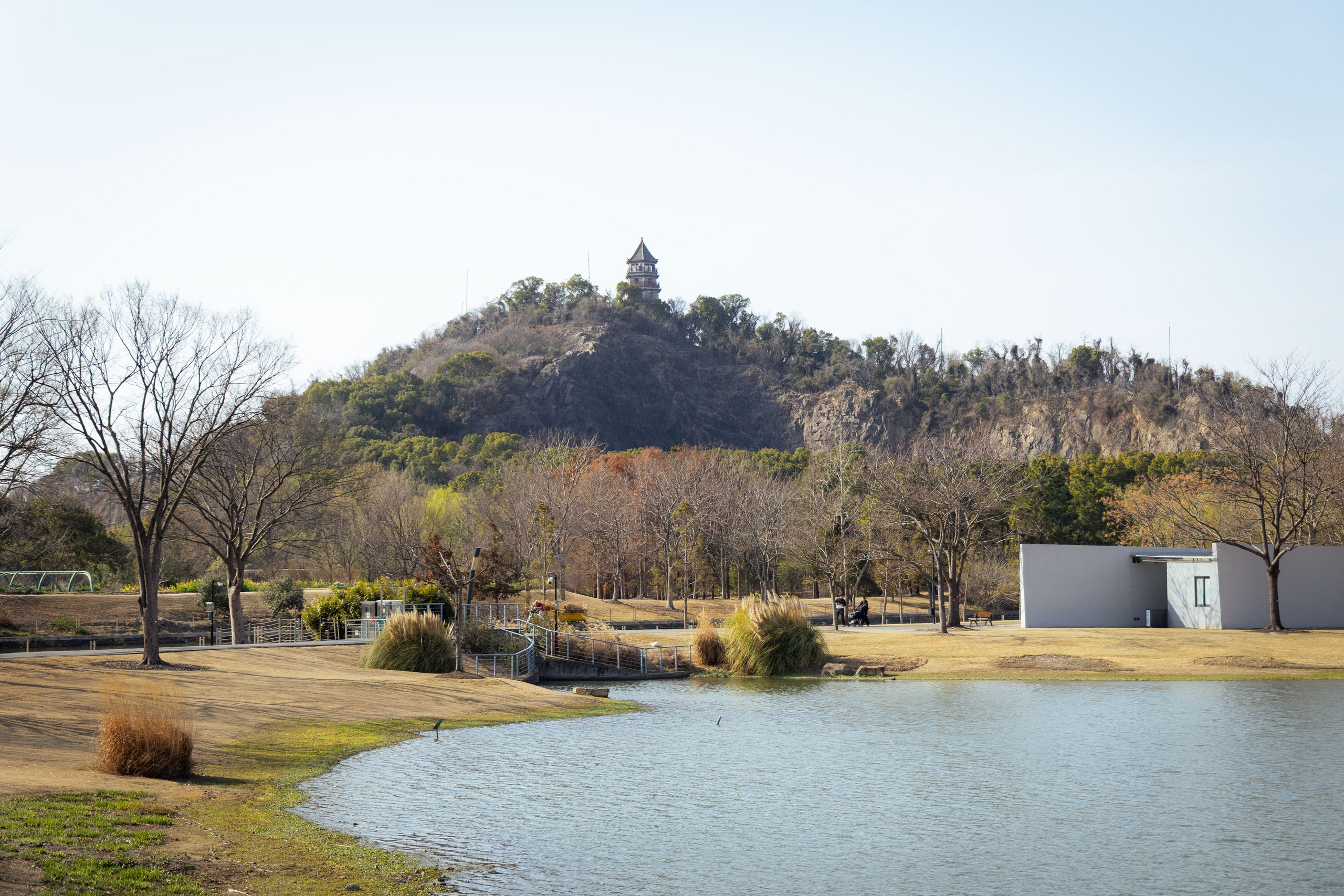 Шанхай (март 2026). Фотограф Виноградов Константин