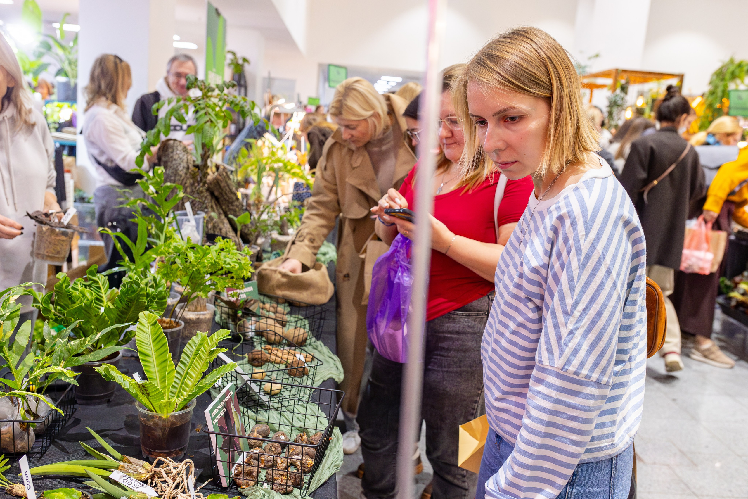 Монстериум 11–12 октября. Александра Куликова фотограф, Москва