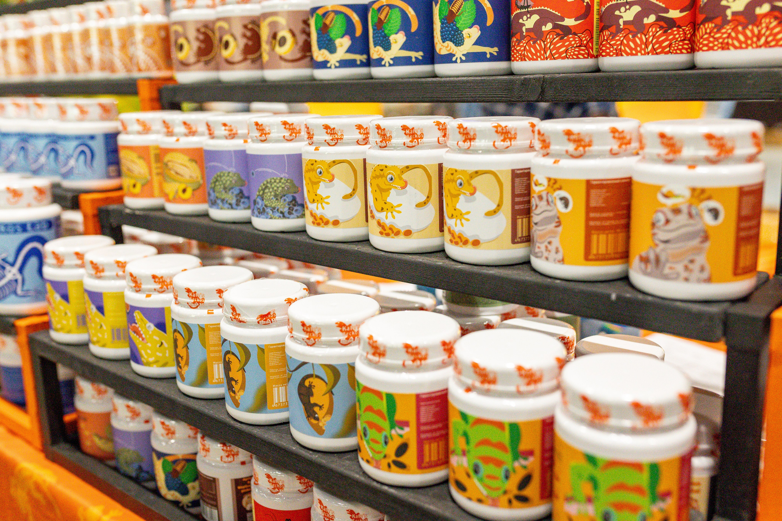 Рептилиум июнь 2025. Александра Куликова фотограф, Москва