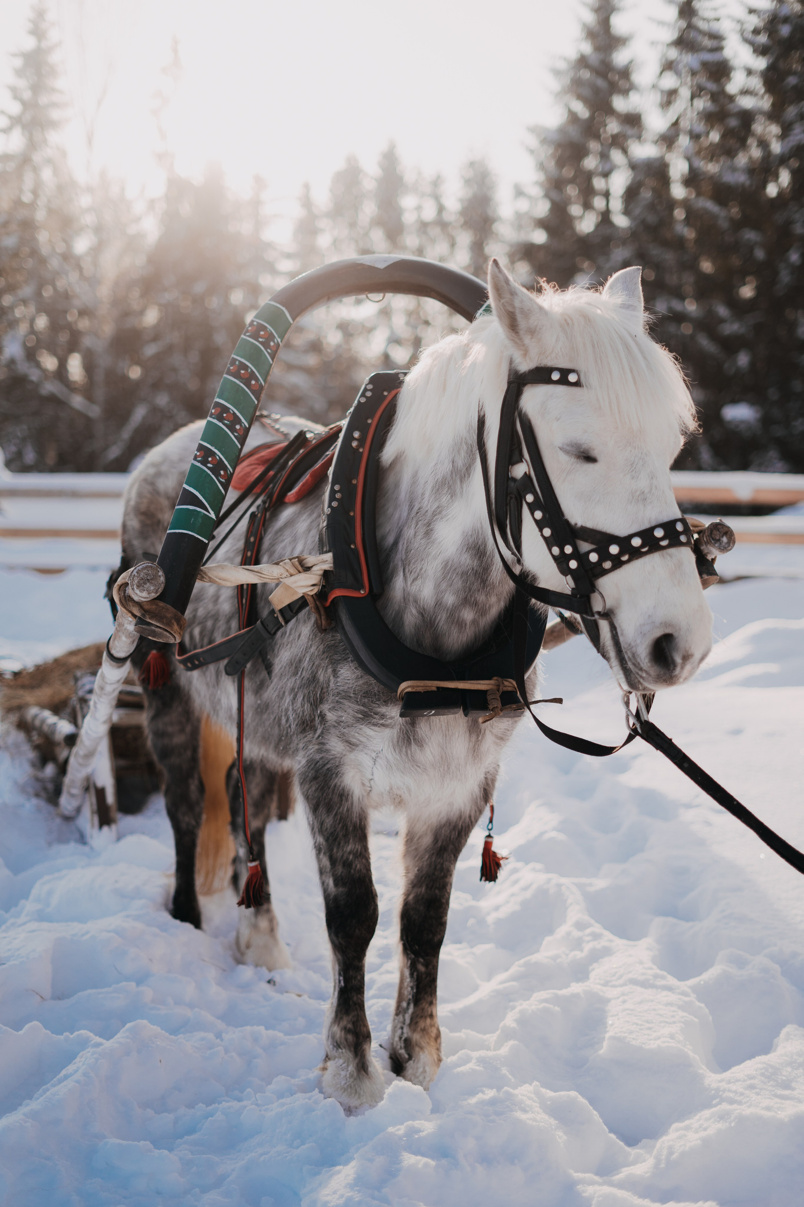 Пресс-тур 2. Фотограф Торопец Кристина Абрамова Kanwellia photography