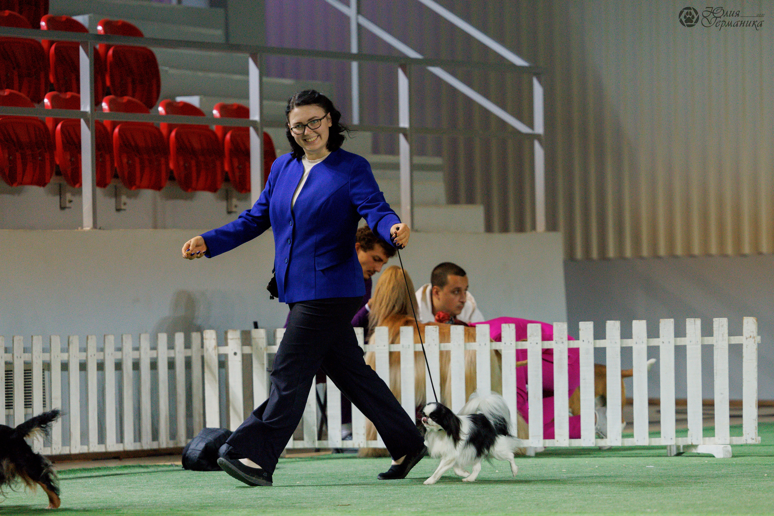 Грузия,Телави 2хCACIB 19-20.10.2024. Фотограф-анималист Юлия Германика