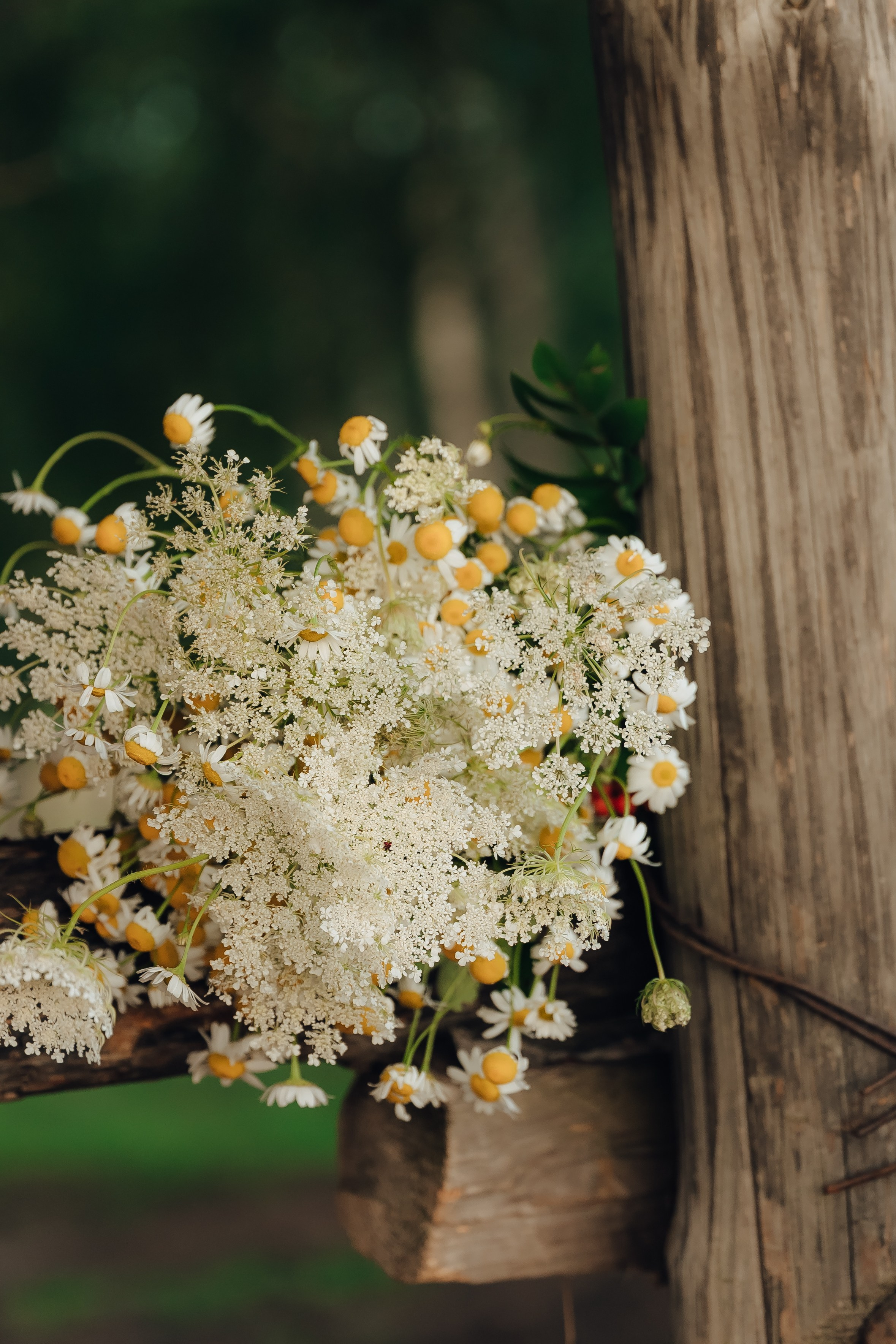 Самая волшебная локация этого лета. Детский и семейный фотограф Катерина Мишина