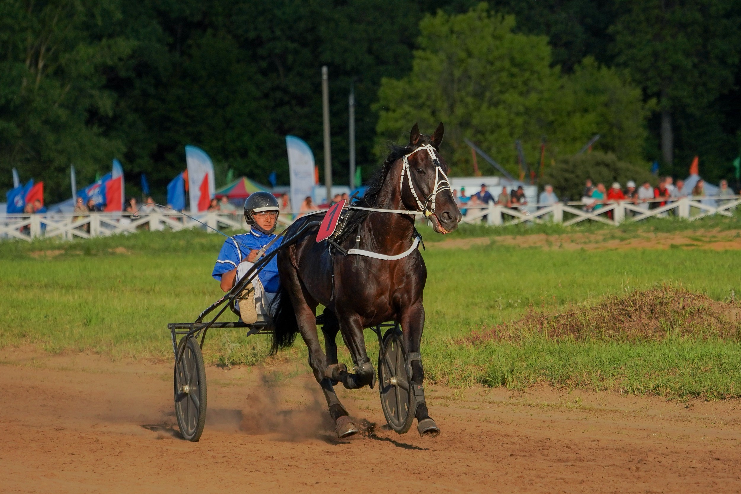 III конные бега на Кубок Главы Чувашии. Фотограф-анималист, портретный фотограф в Чебоксарах Мария Садыкова