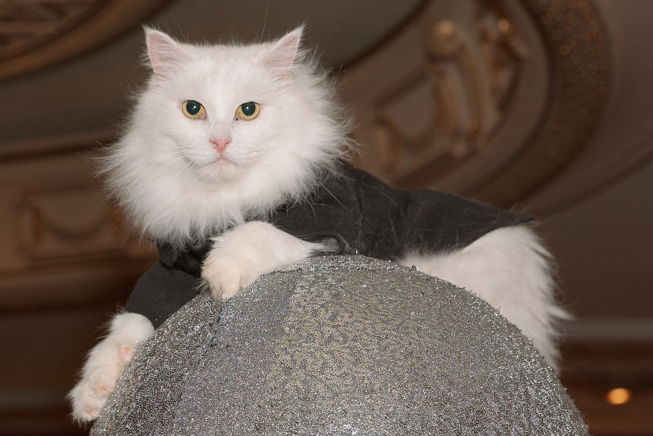 Юбилей 60 лет