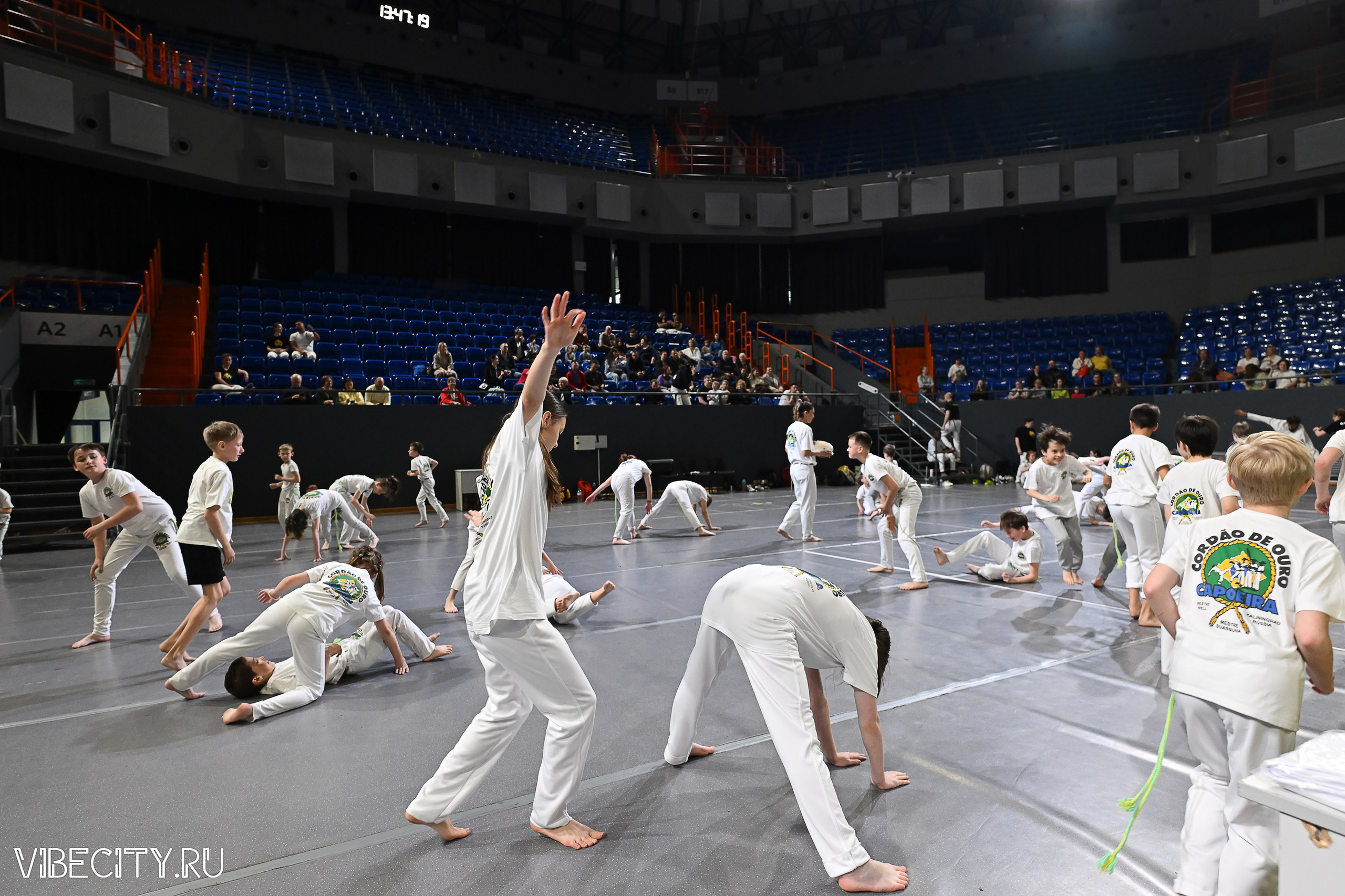 Капоэйра. Вручение поясов. VIBECITY.RU Вайб Сити Ру Фоторепортажи Фотоотчеты Калининград