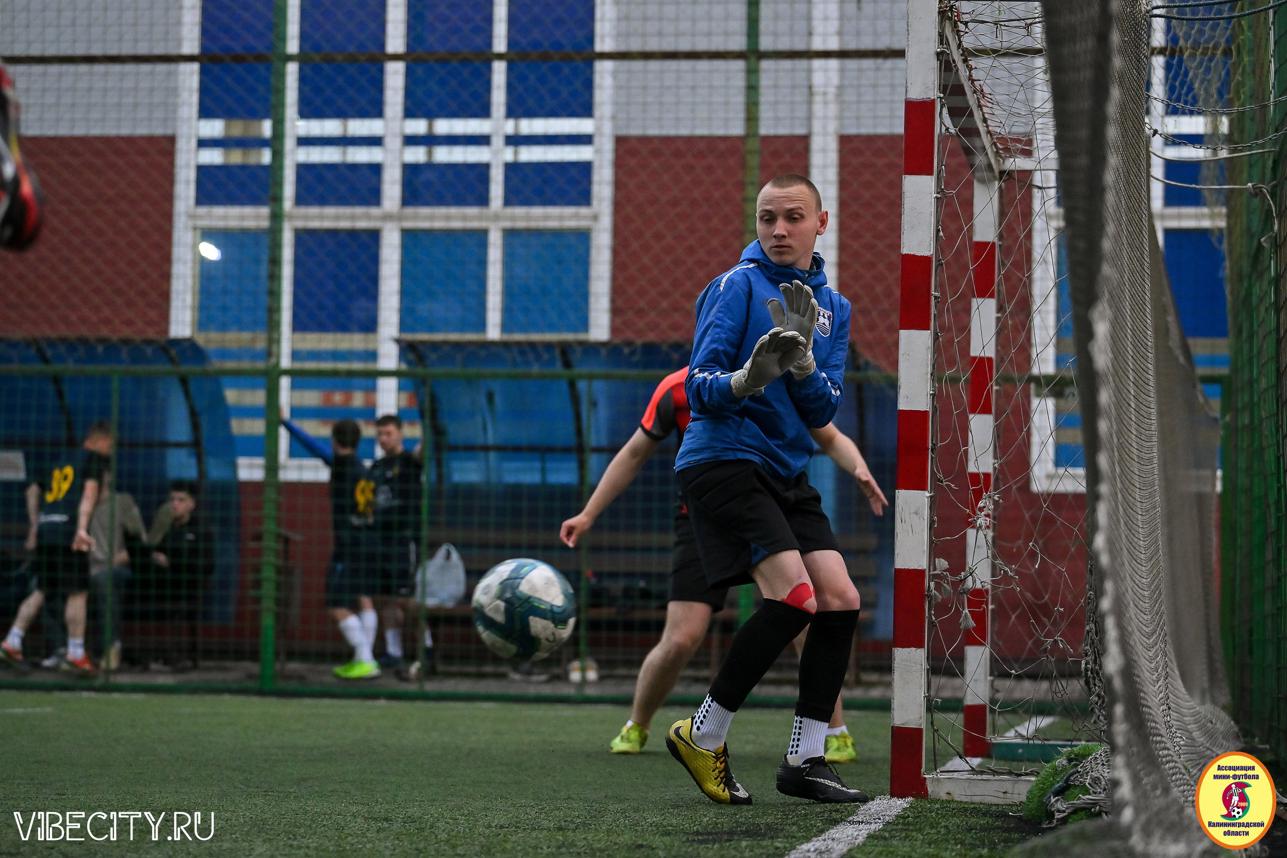 ИГРЫ МИНИ-ФУТБОЛЬНОЙ И КОРПОРАТИВНОЙ ЛИГИ. VIBECITY.RU Вайб Сити Ру Фоторепортажи Фотоотчеты Калининград