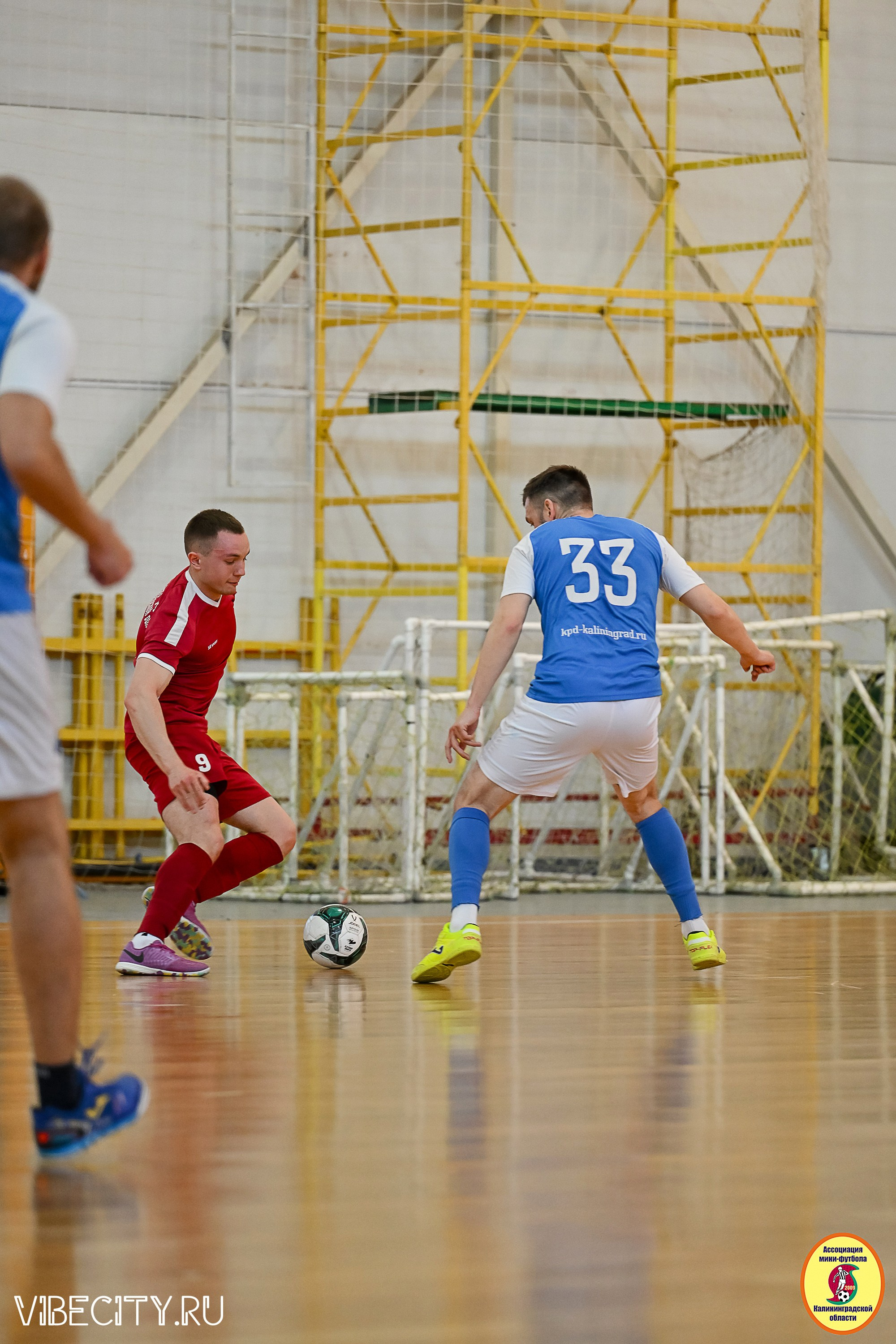 МФЛ СанТермо. VIBECITY.RU Вайб Сити Ру Фоторепортажи Фотоотчеты Калининград