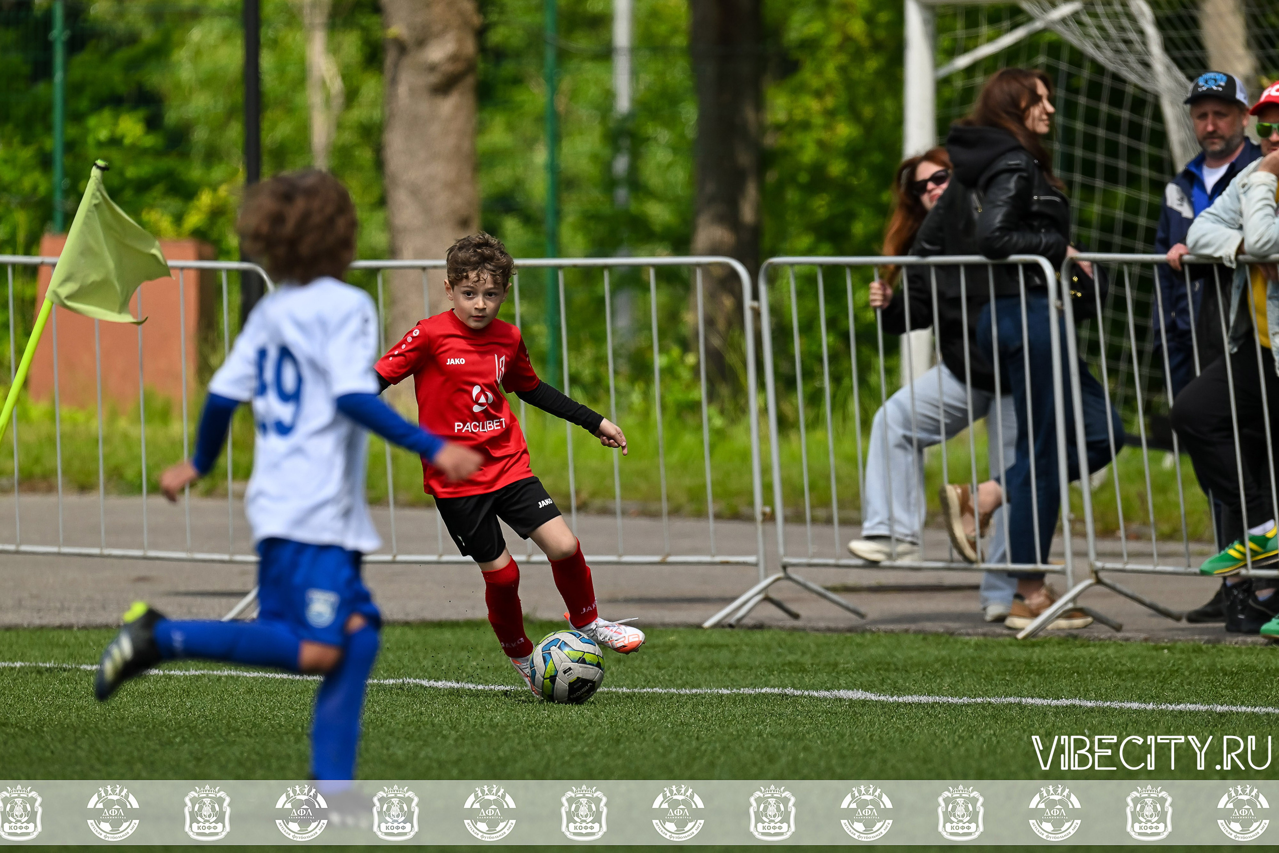 Большие Звезды светят Малым. VIBECITY.RU Вайб Сити Ру Фоторепортажи Фотоотчеты Калининград