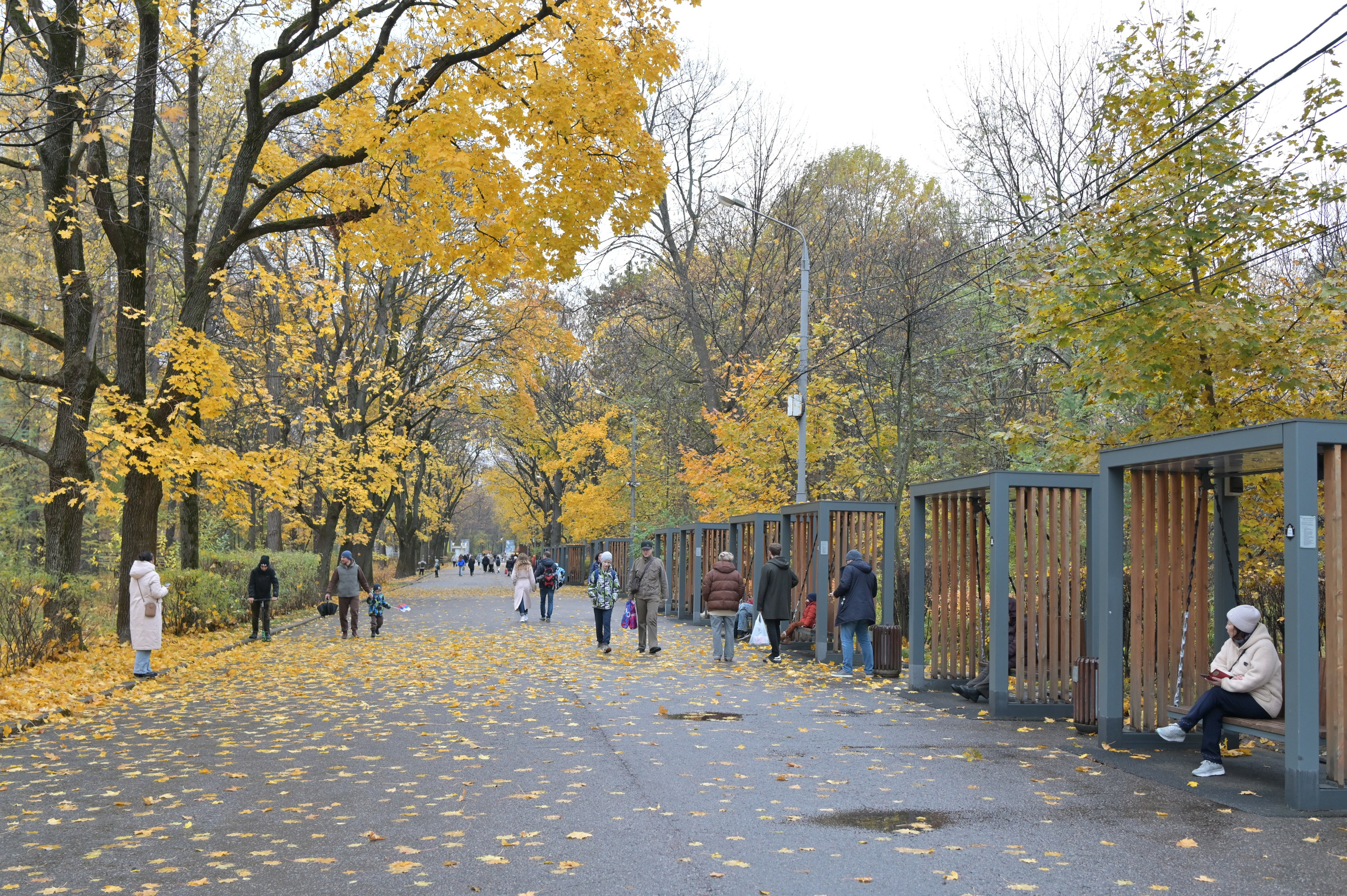 20241026 Сокольники. Дмитрий Ремизов. Фотография, как хобби