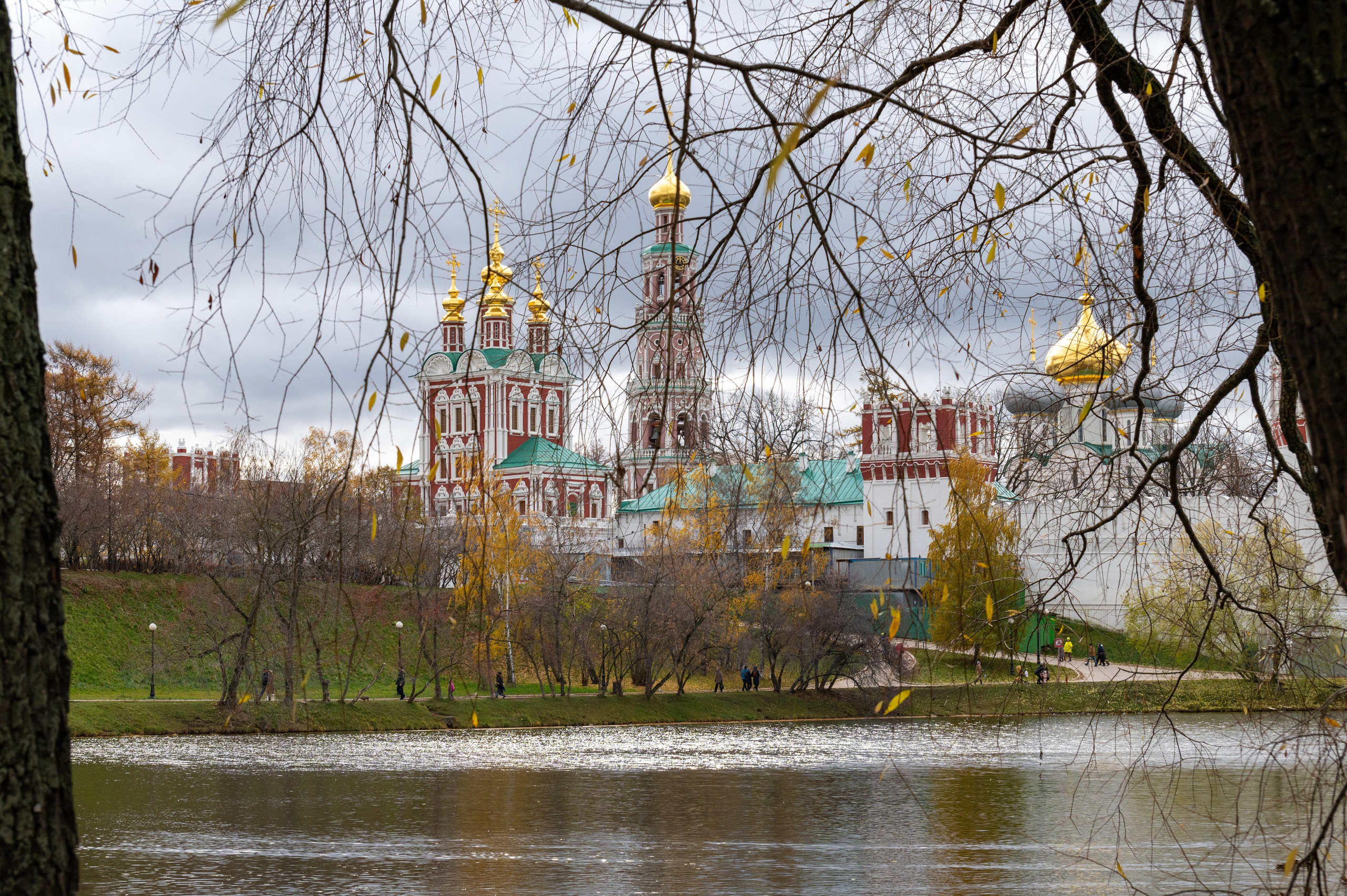 20221030 Новодевичий. Дмитрий Ремизов. Фотография, как хобби