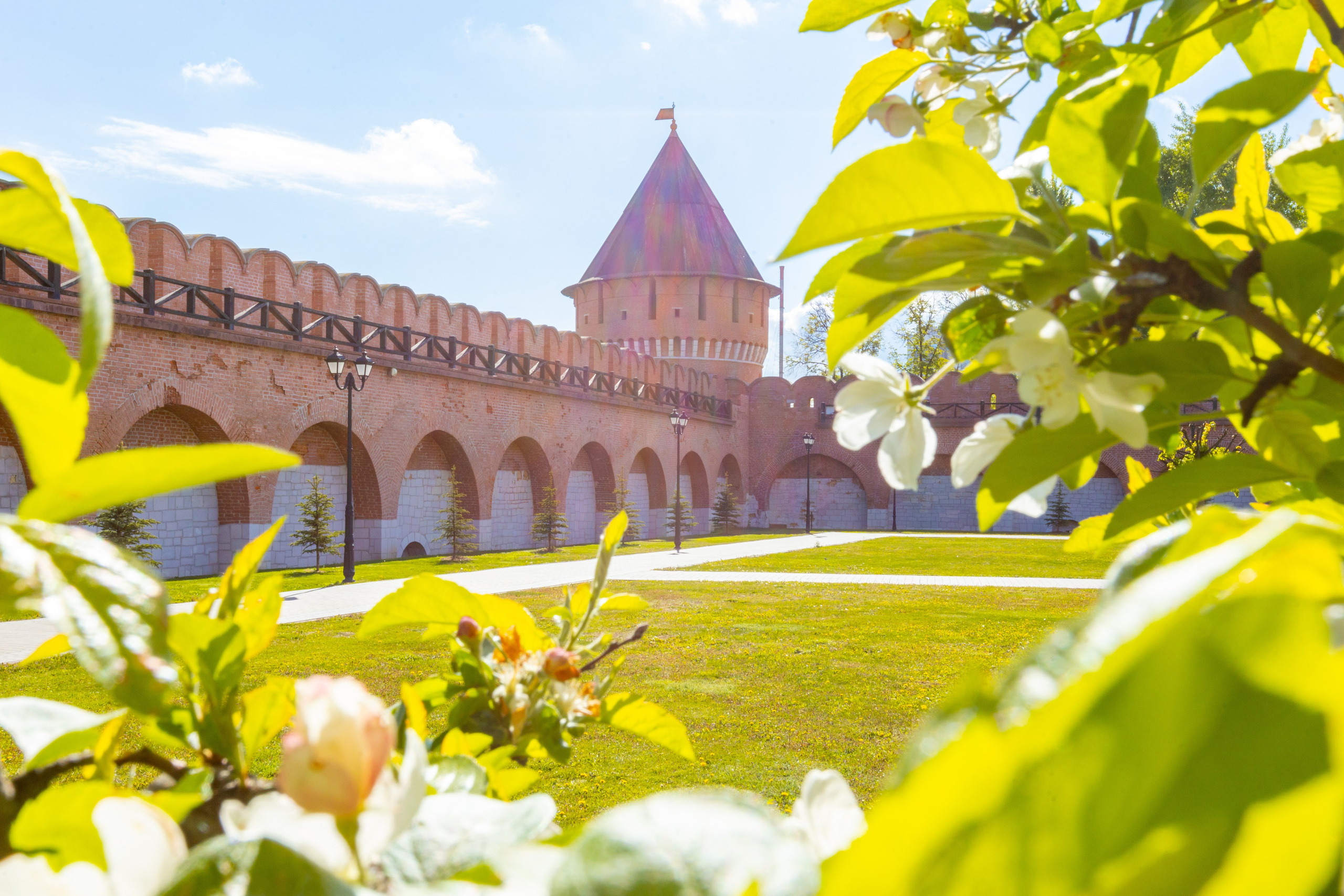 Весеннее цветение в Туле. Фотограф в Туле Крупский АнДРей. Фотостудия «КАДР71» в Туле