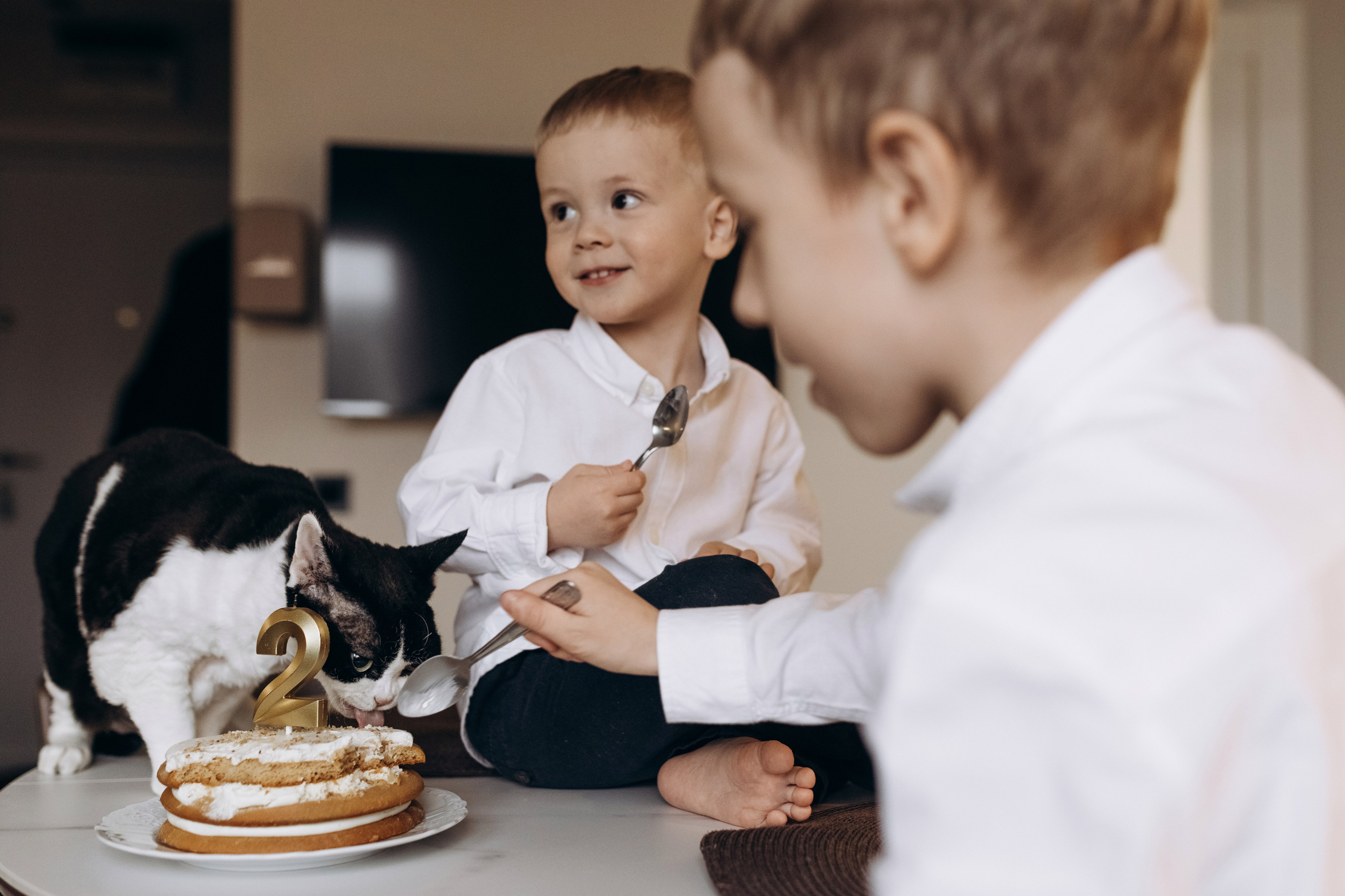 День рождения Леона. Фотограф Людмила Оюн