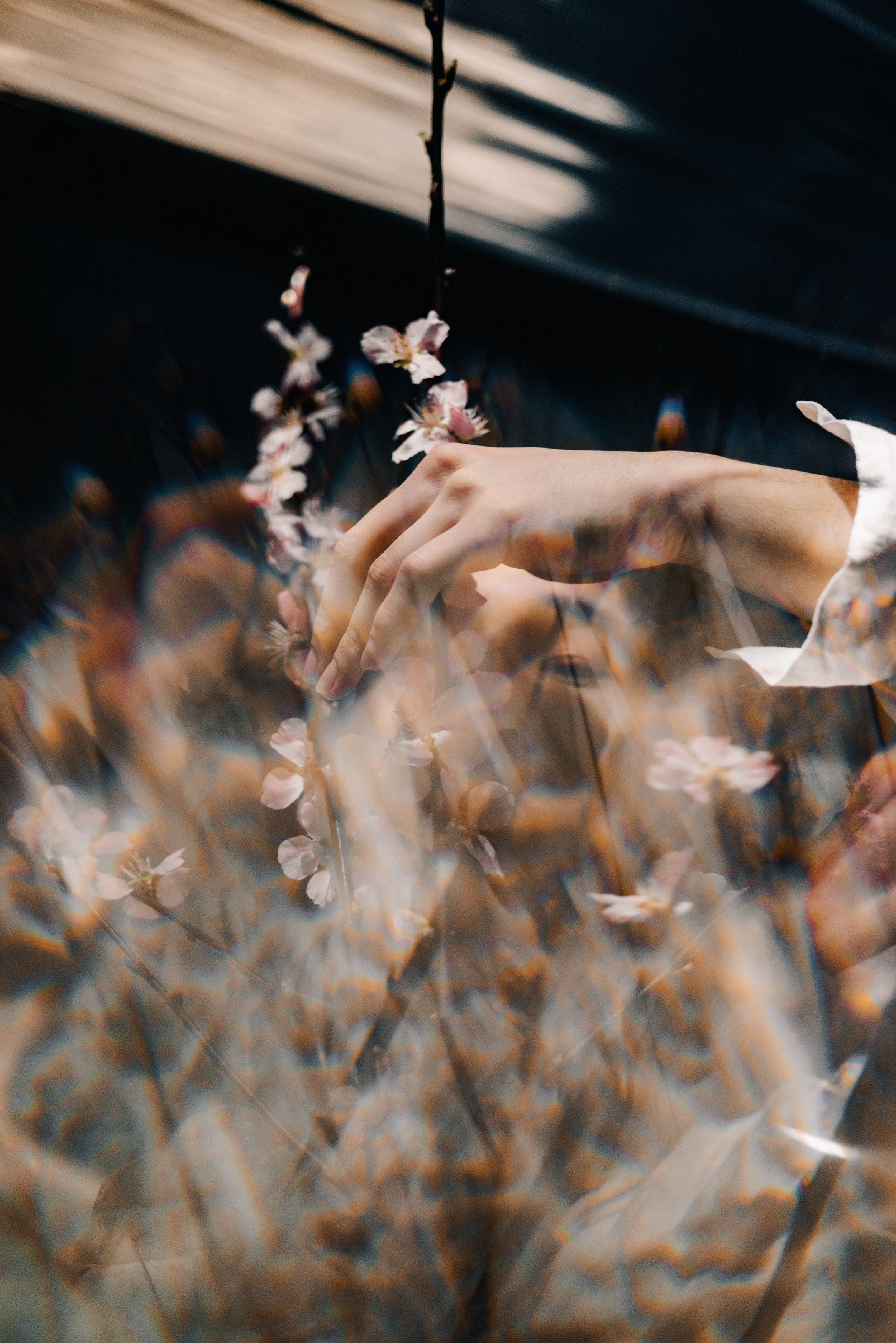 Принц пустыни. Портретный фотограф Юлия Дроздова | Санкт-Петербург | Москва