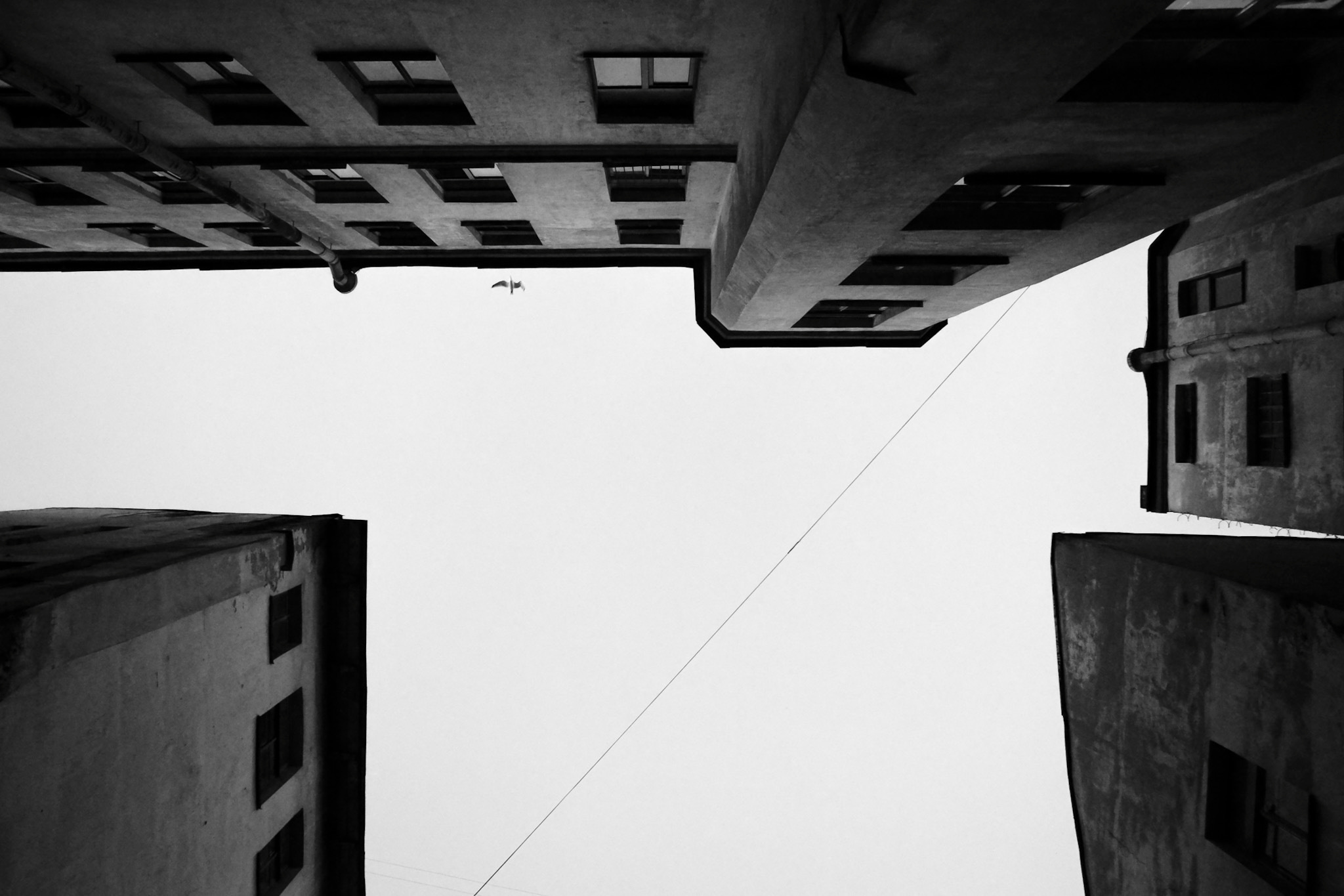 Saint-Petersburg. Mariya Biryukova