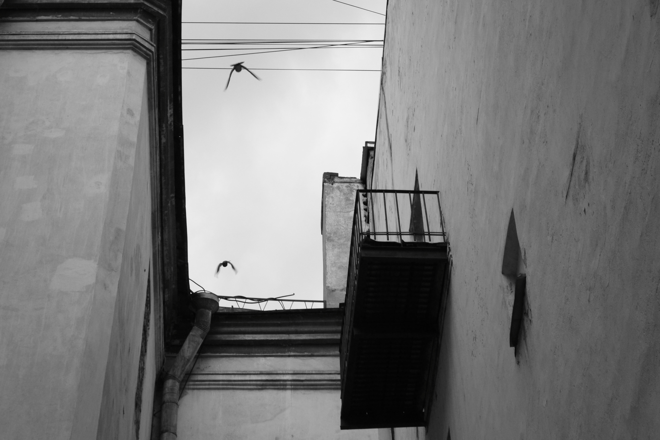 Saint-Petersburg. Mariya Biryukova