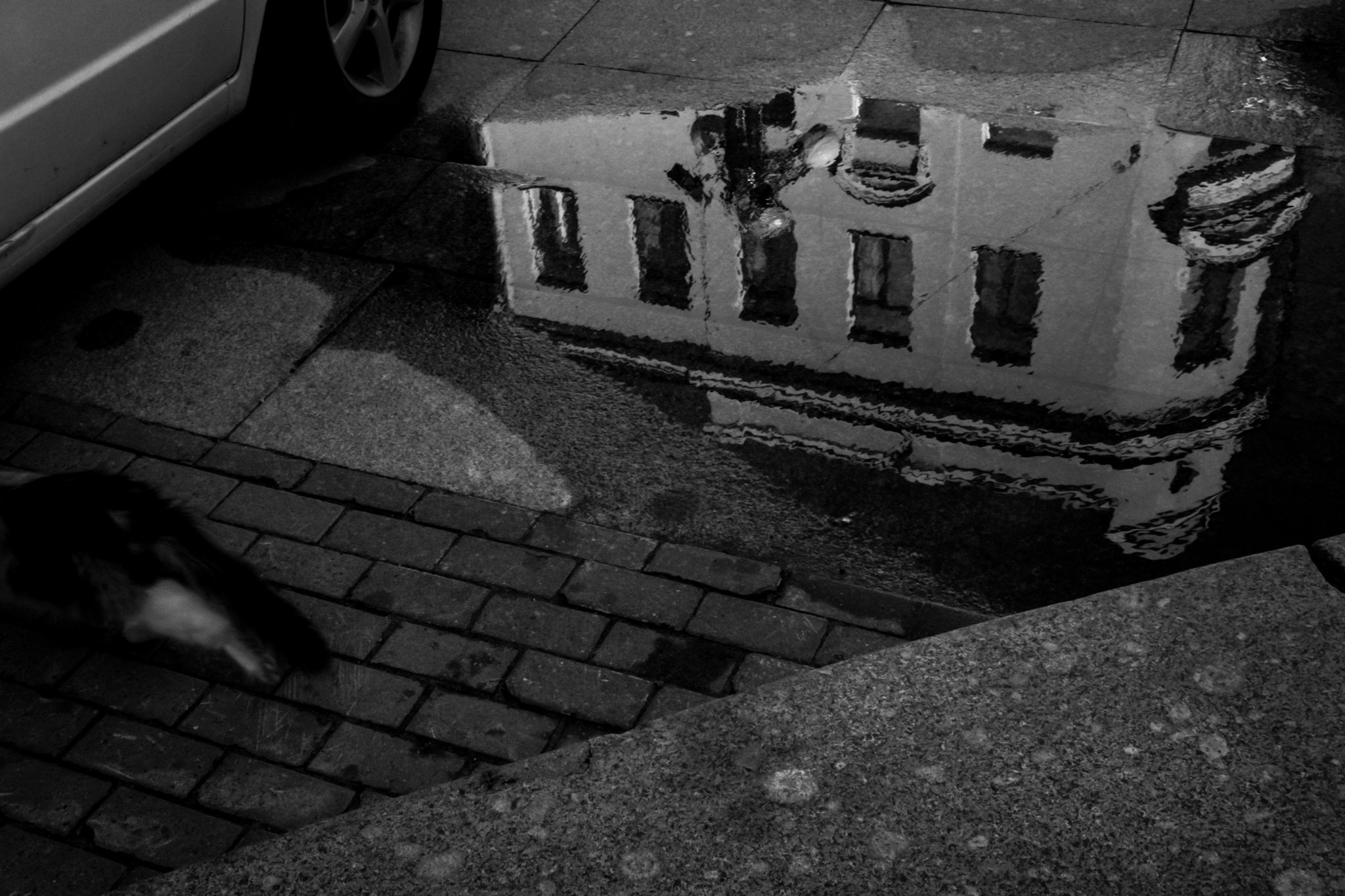 Saint-Petersburg. Mariya Biryukova