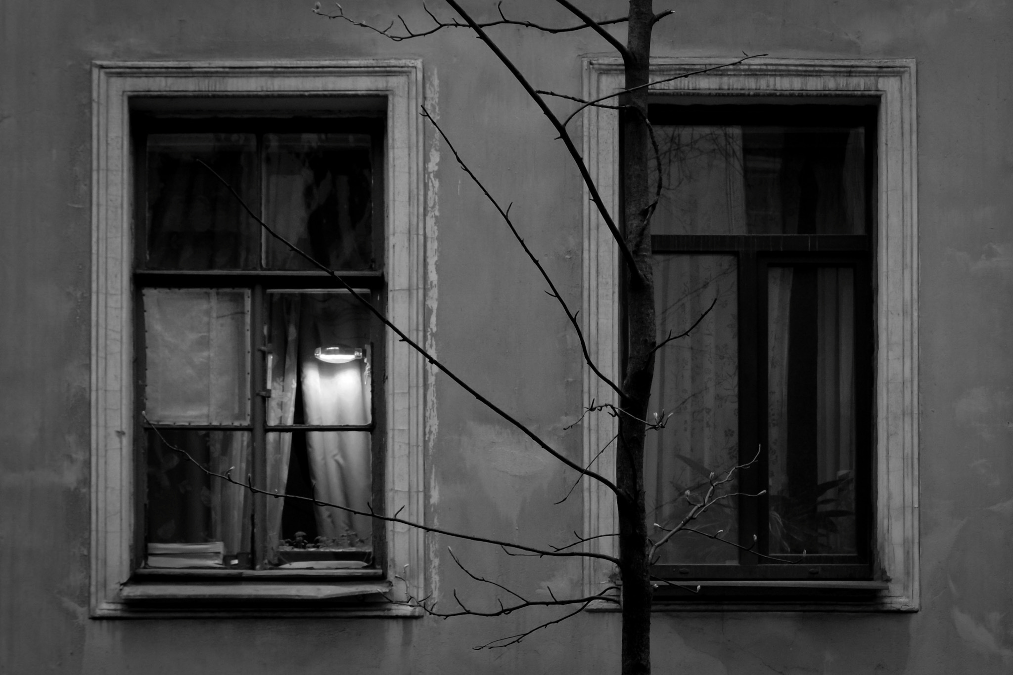 Saint-Petersburg. Mariya Biryukova