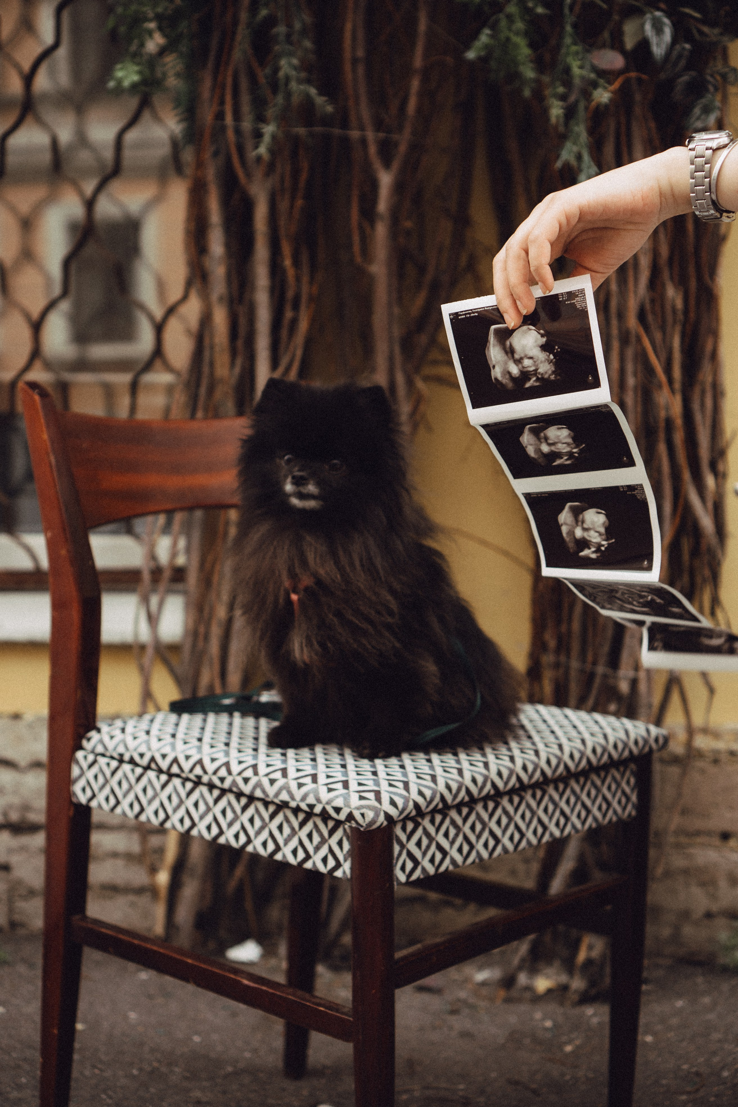 Беременность (только часть фото по желанию клиентов могу показать)). Профессиональный фотограф, Санкт-Петербург — Виктория Богомолова