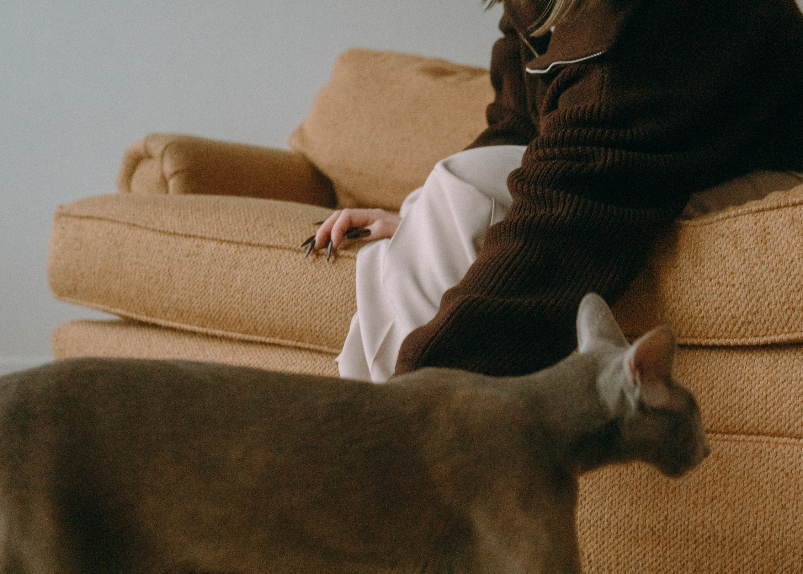 Амина, Булат и Орион. Фотограф-анималист Ксения Воробьева, Москва