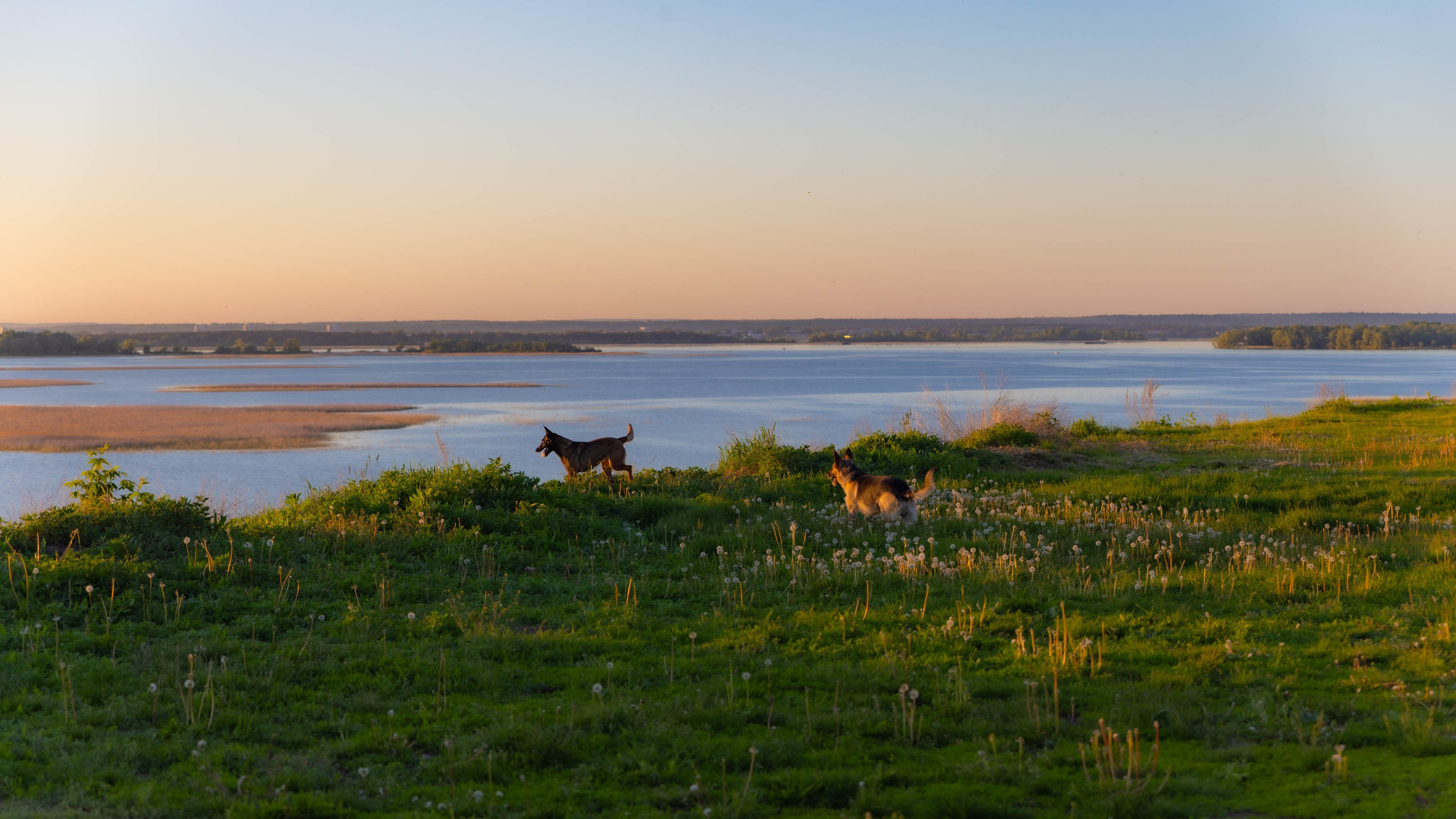 2025 05 Свияжск. Фотографии