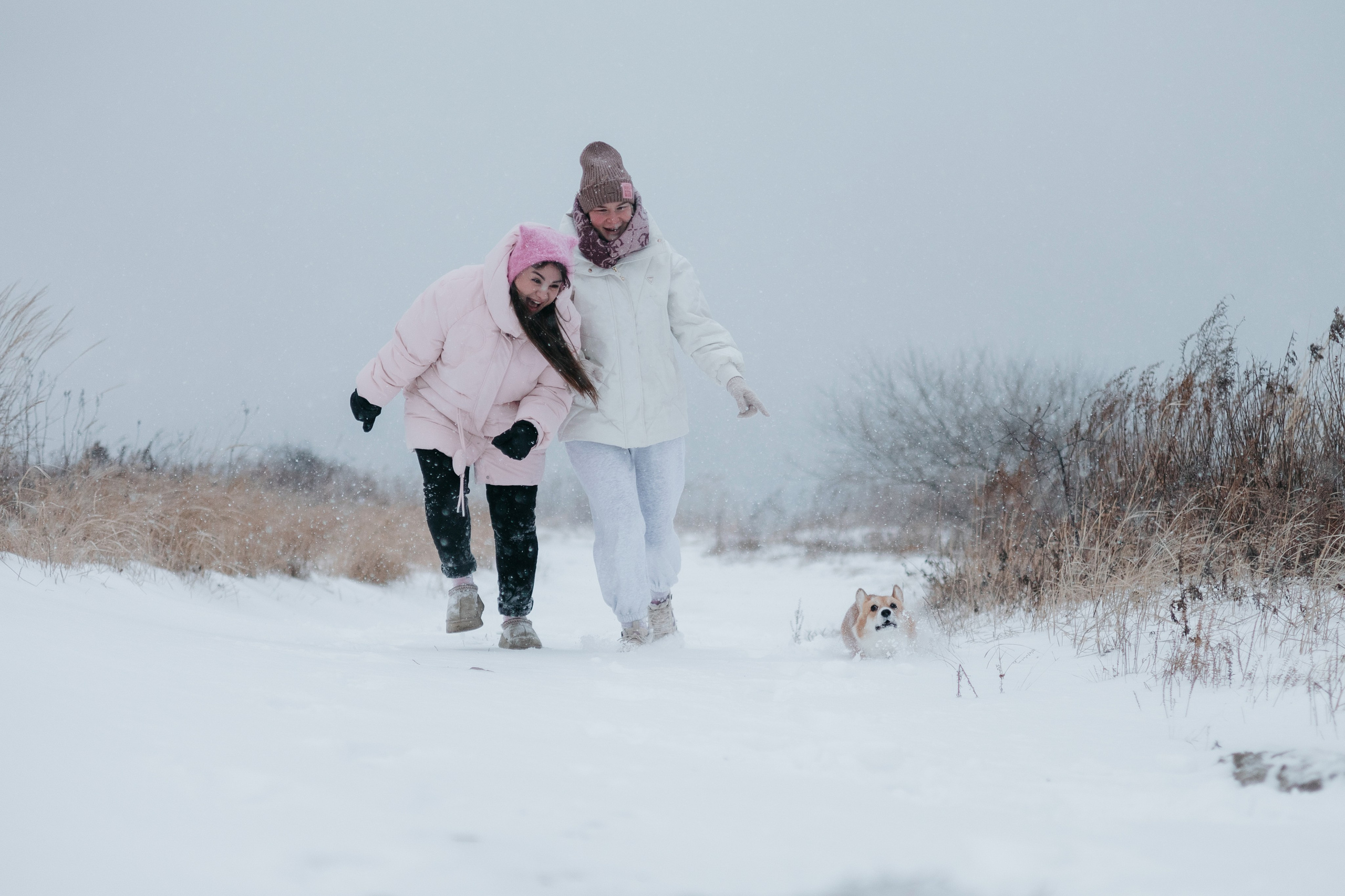 Лена, Лиза и Мия. Фотограф — анималист Владивосток, Алина