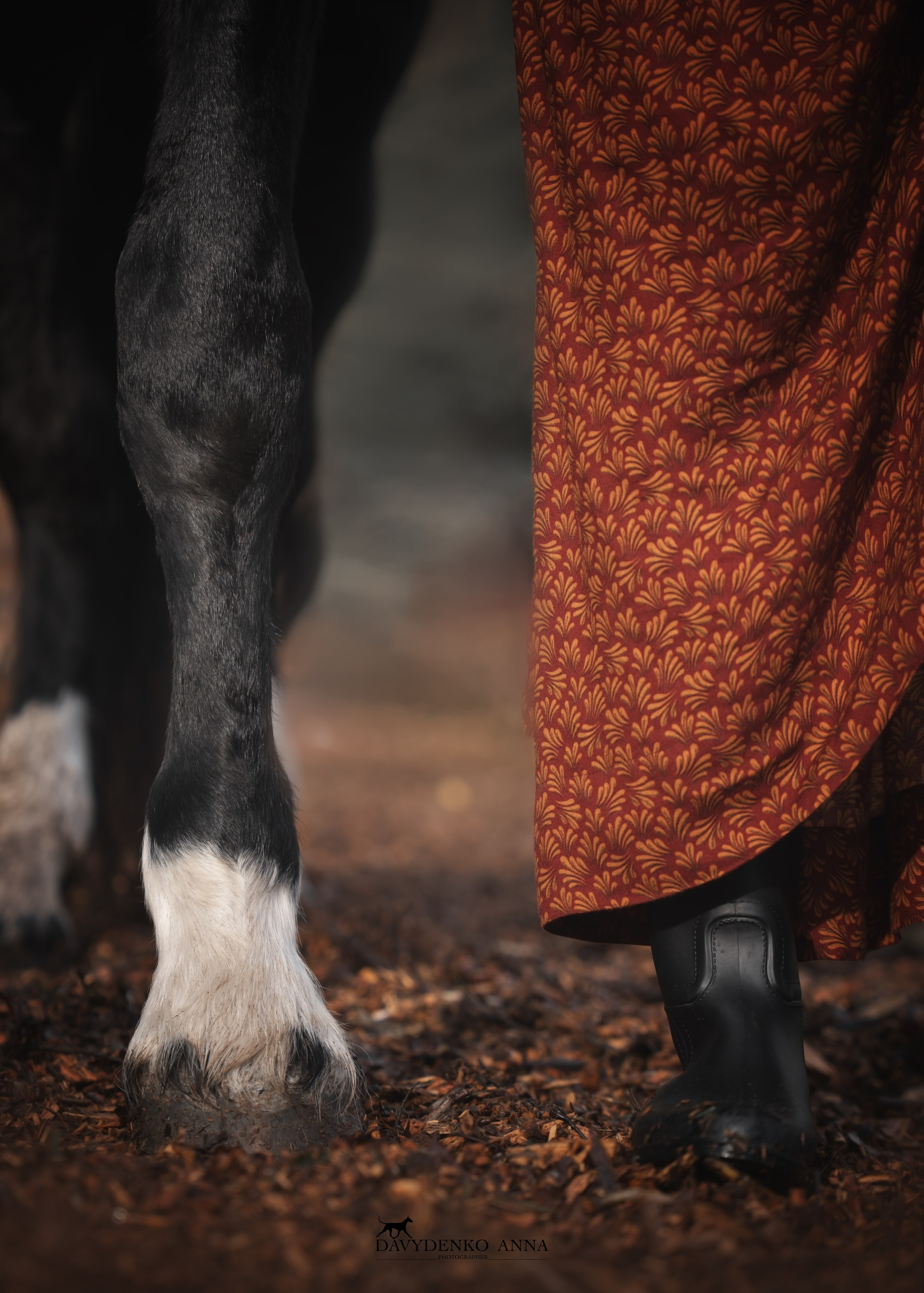 фотосессия с конем в Краснодаре 
