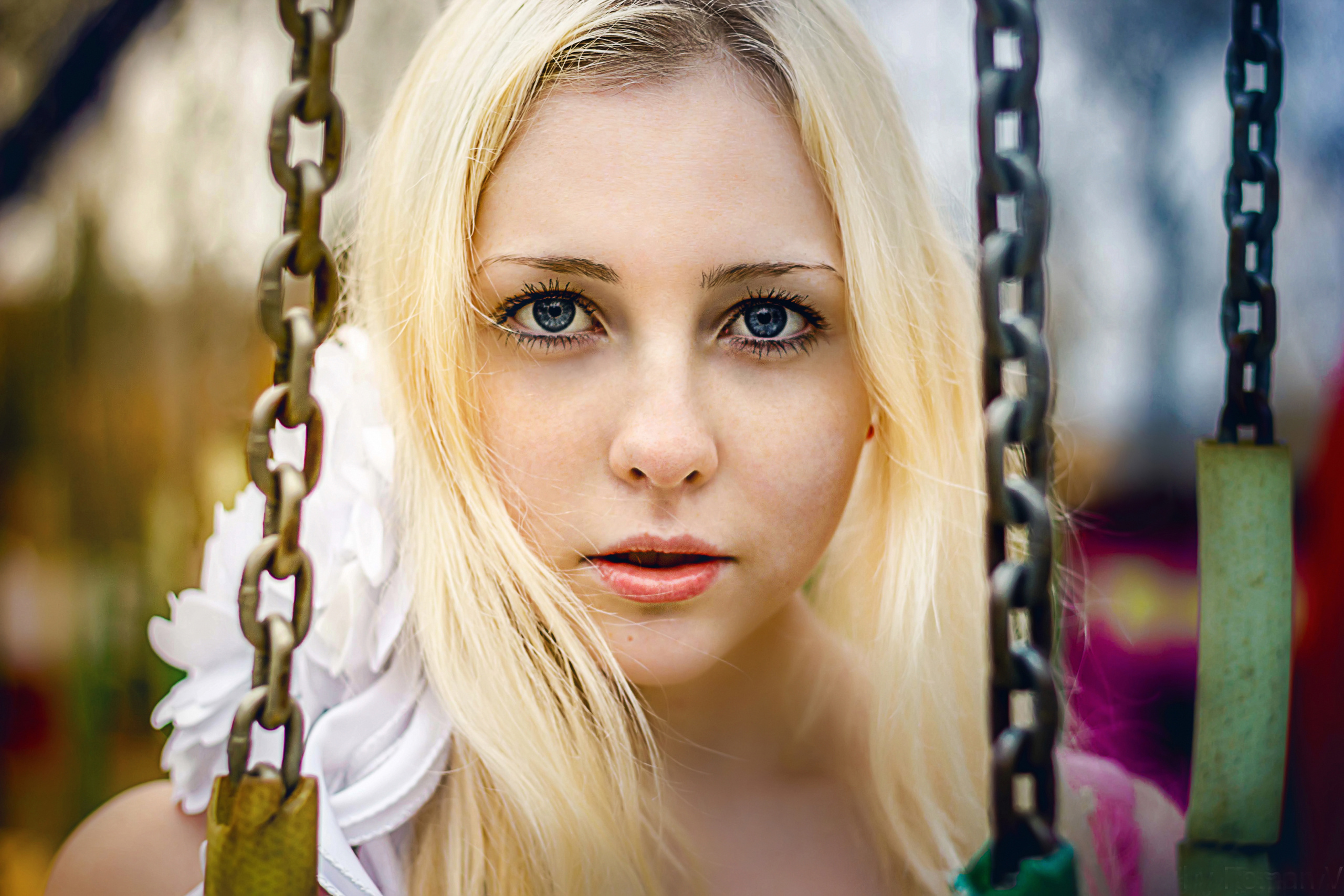 Фотограф Роман Витвицкий