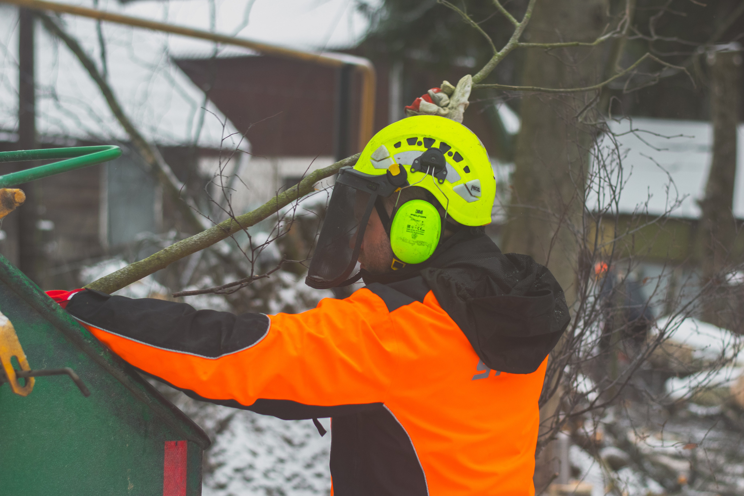 Дробление веток. Аrbori Culturist