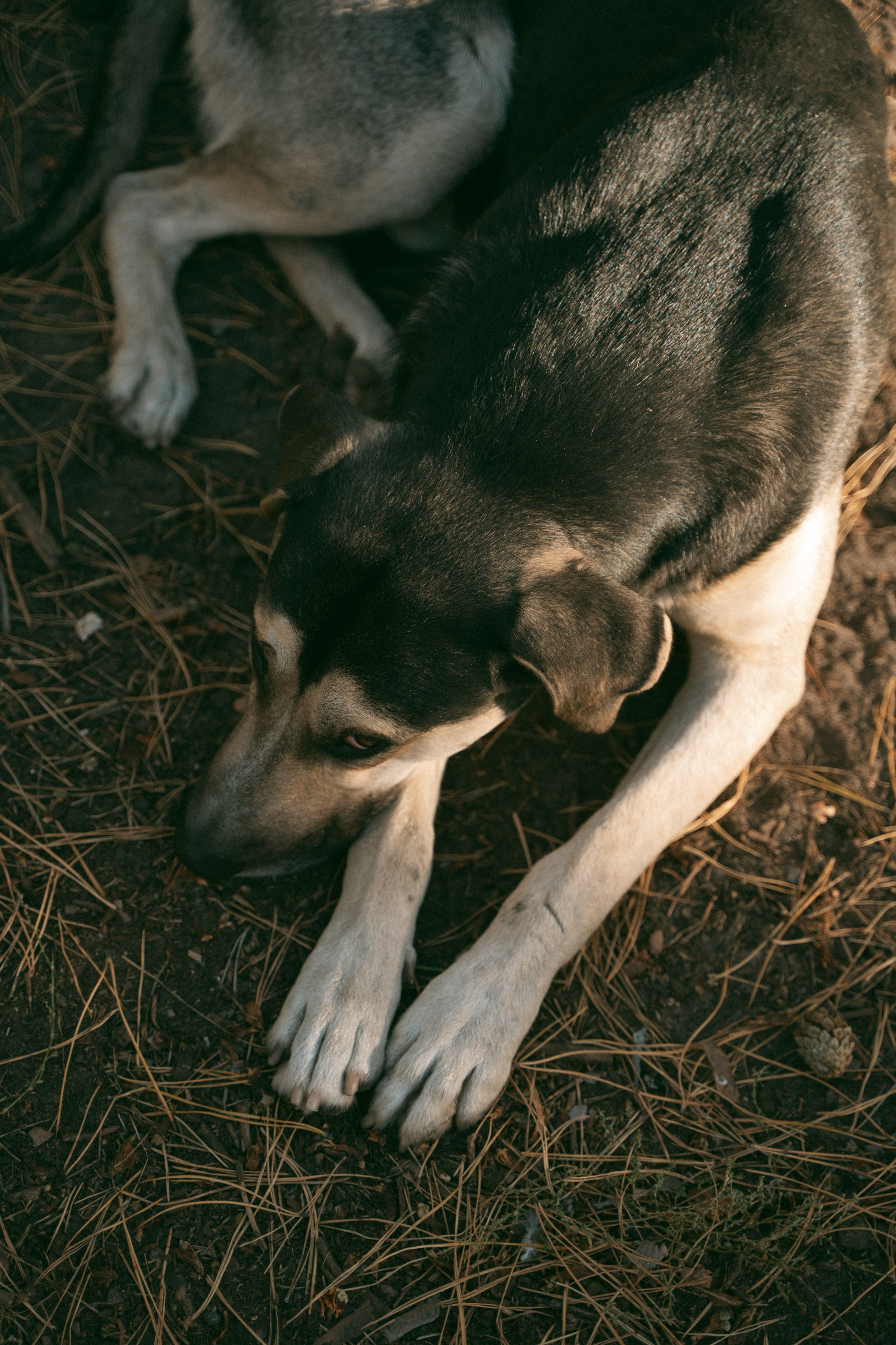 Прогулка в парке. Фотограф Мария Зайчик