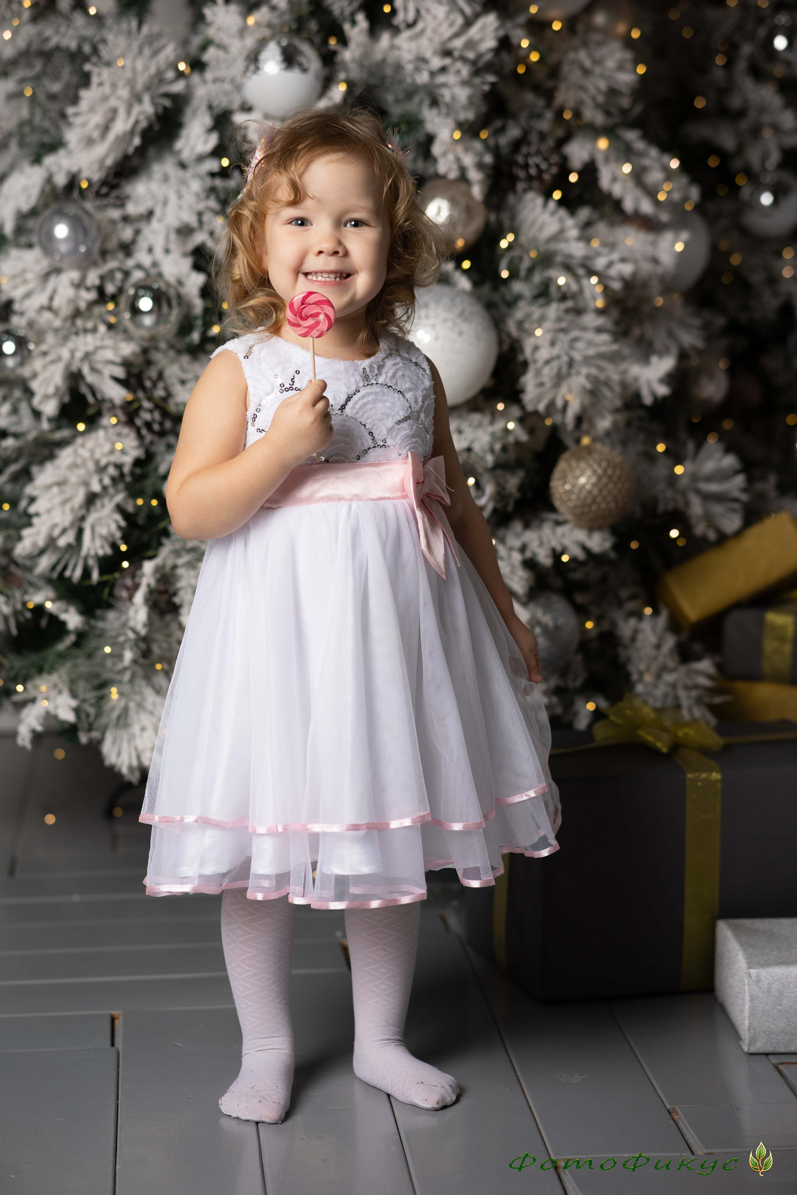 Новогодние. Фотографы Евгений и Екатерина. Фотофикус. Тюмень