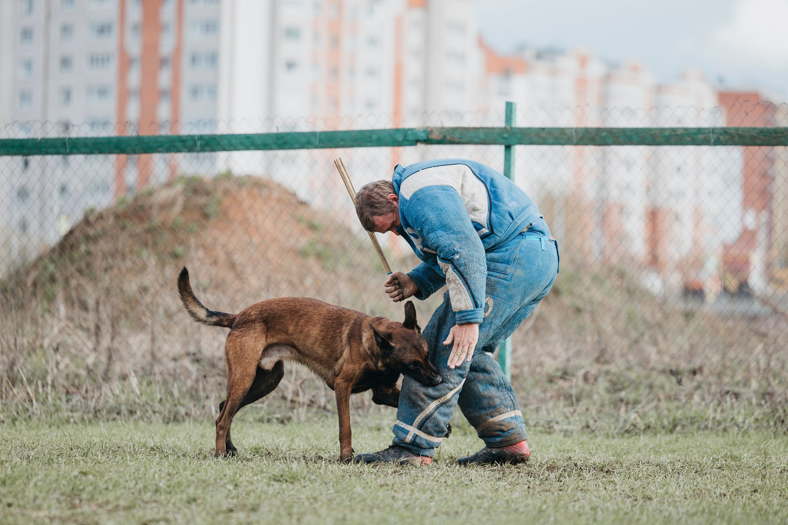09.05.25 Вологда соревнования. Фотограф-анималист Анна Маринич