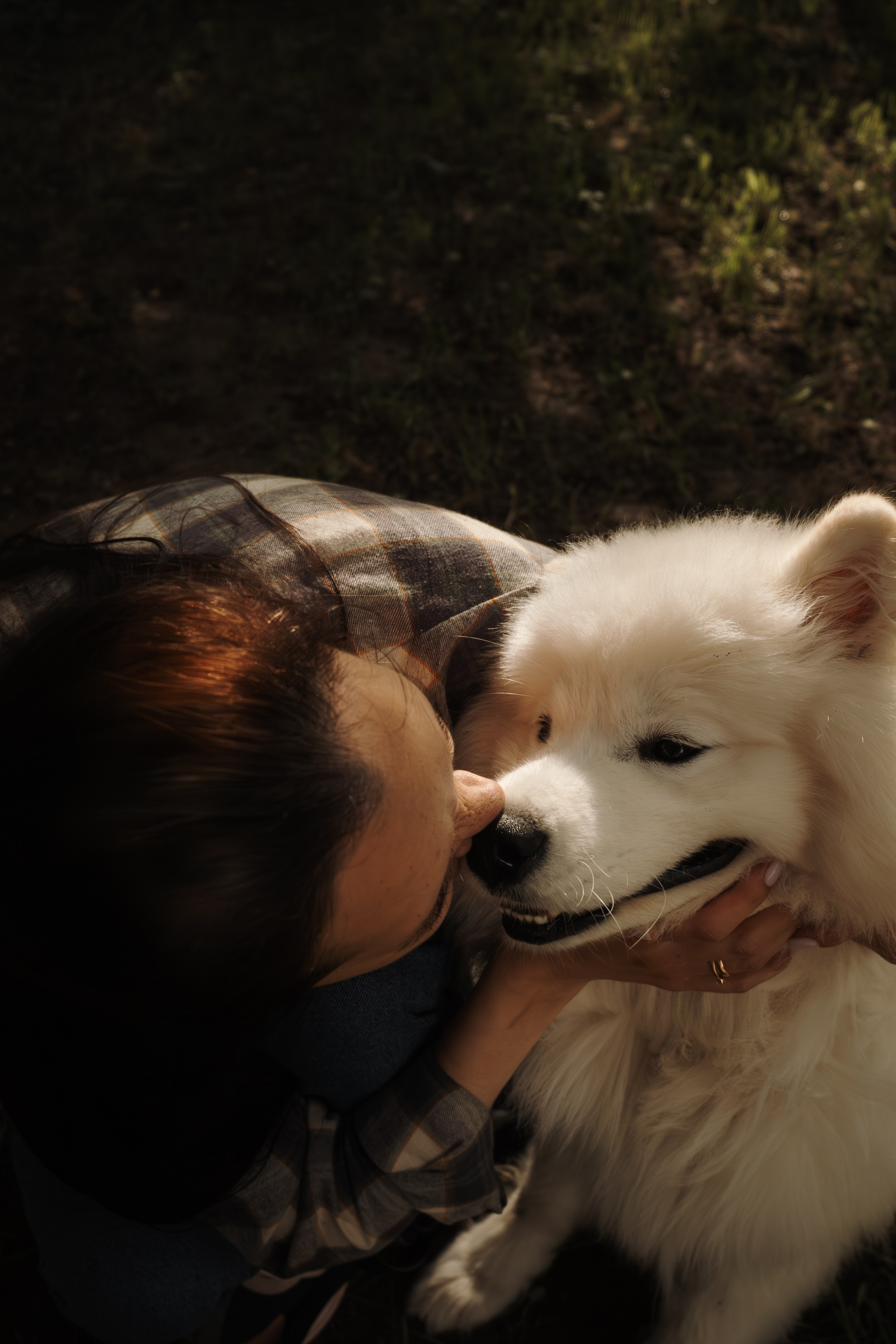 Фотосессия девушки с 2 собаками самоедами в лесопарке. Фотограф-анималист в Москве Екатерина Тихонова