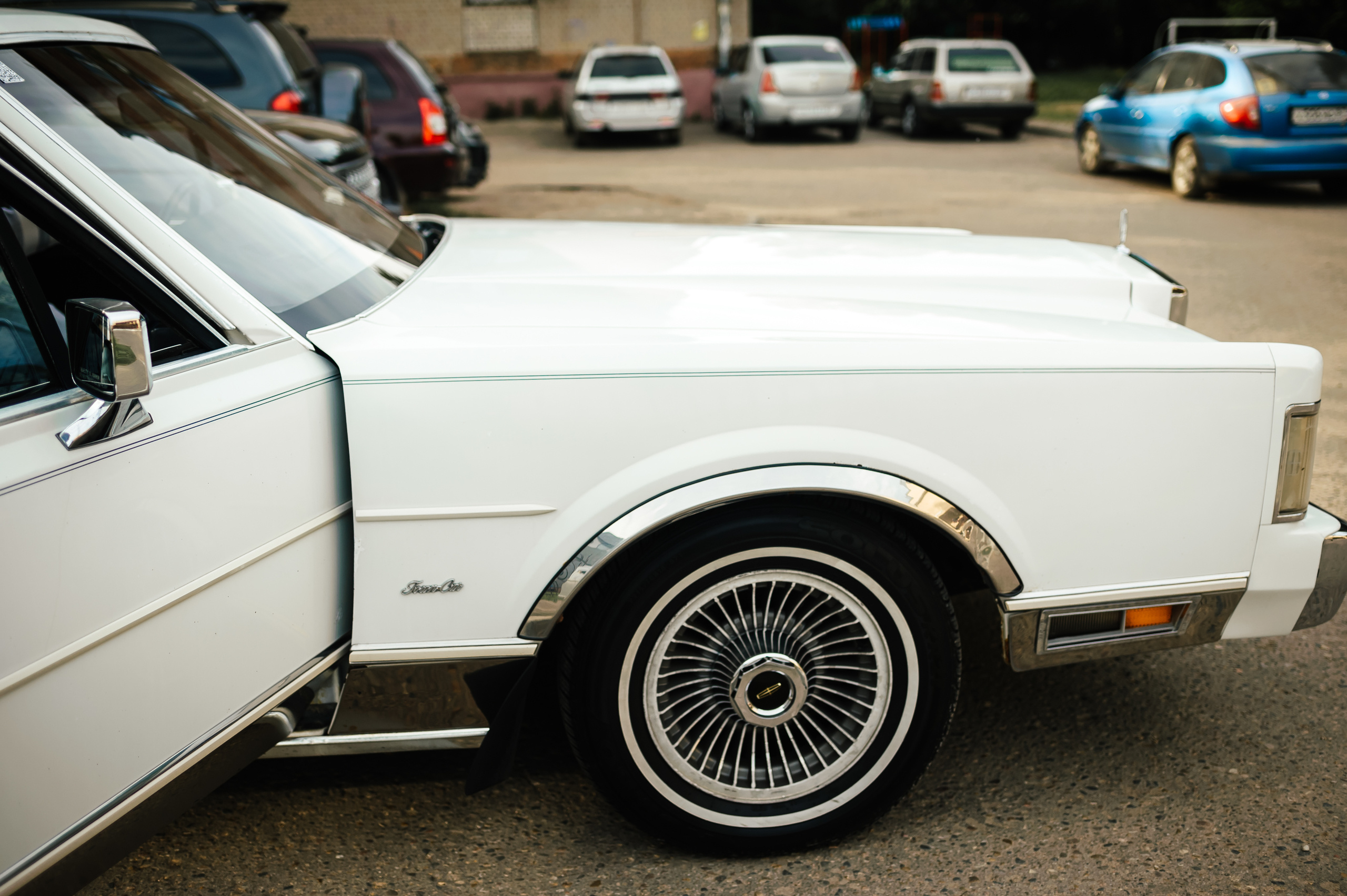 Фотограф на свадьбу. Свадебный, репортажный и семейный фотограф в Москве Арина Зак