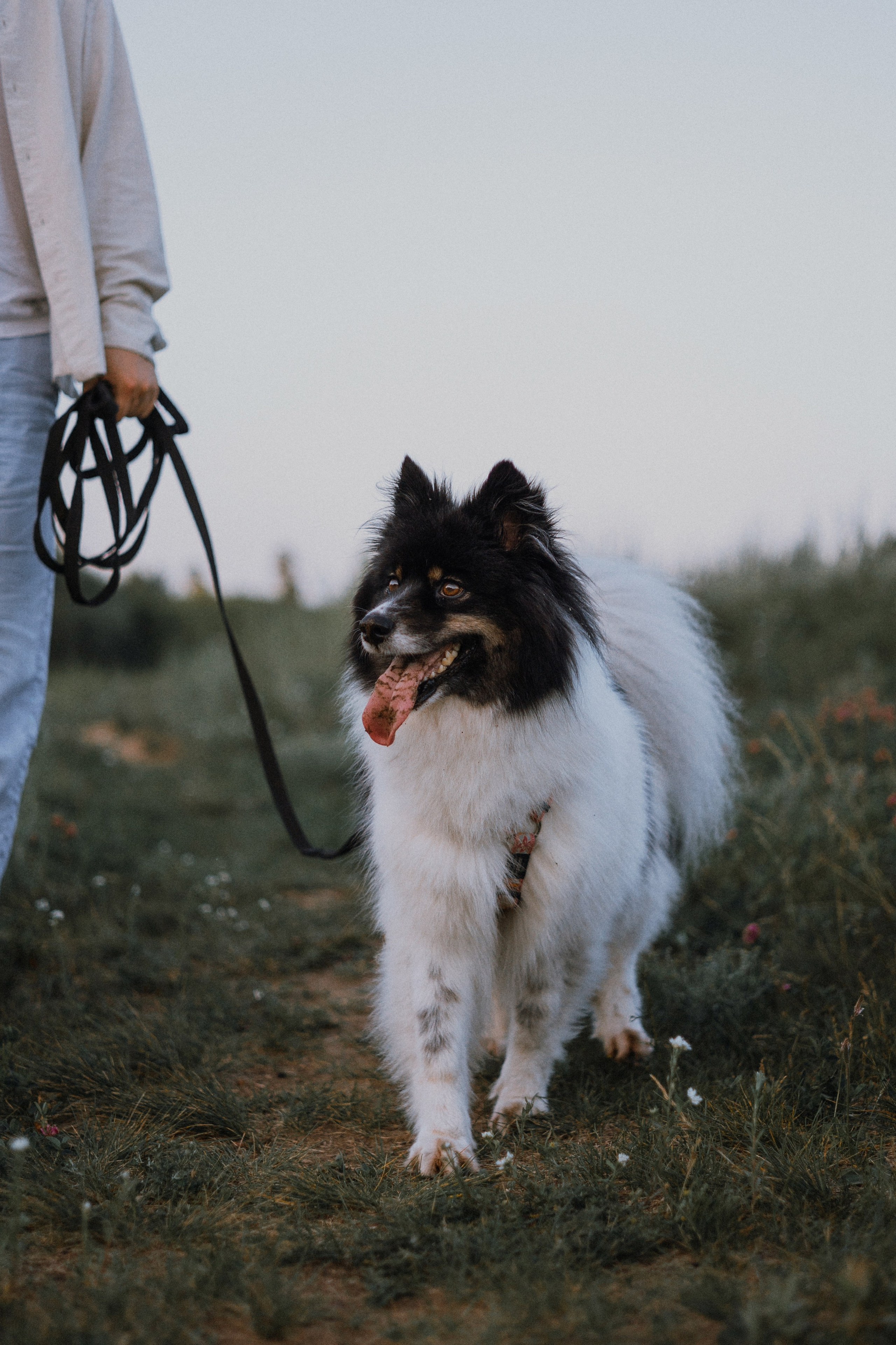 Валерия, Илья, Вита и Умка. Фотограф-анималист Богданова Полина