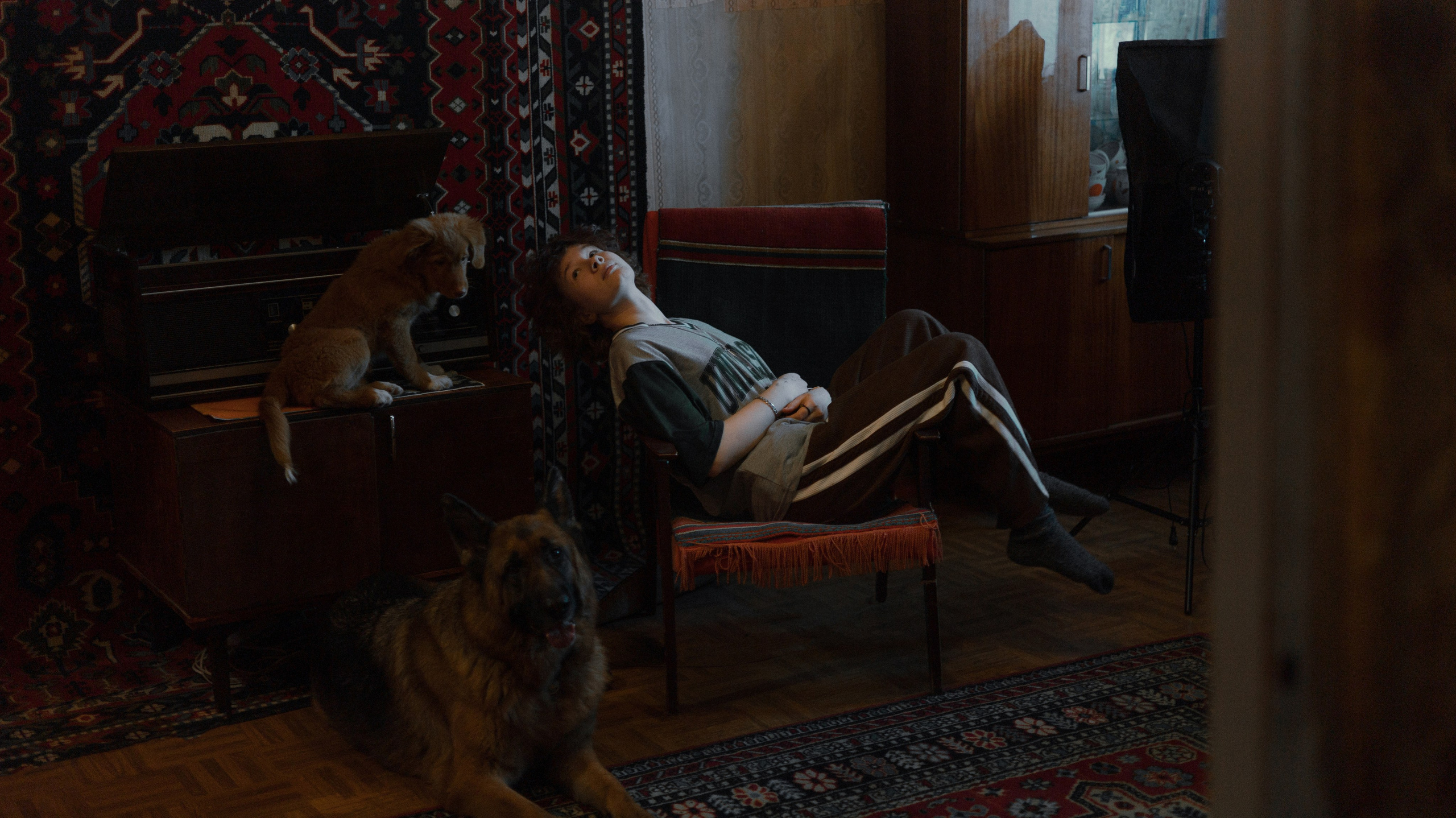 Лера, Реджи и Ральф. Фотограф-анималист Богданова Полина